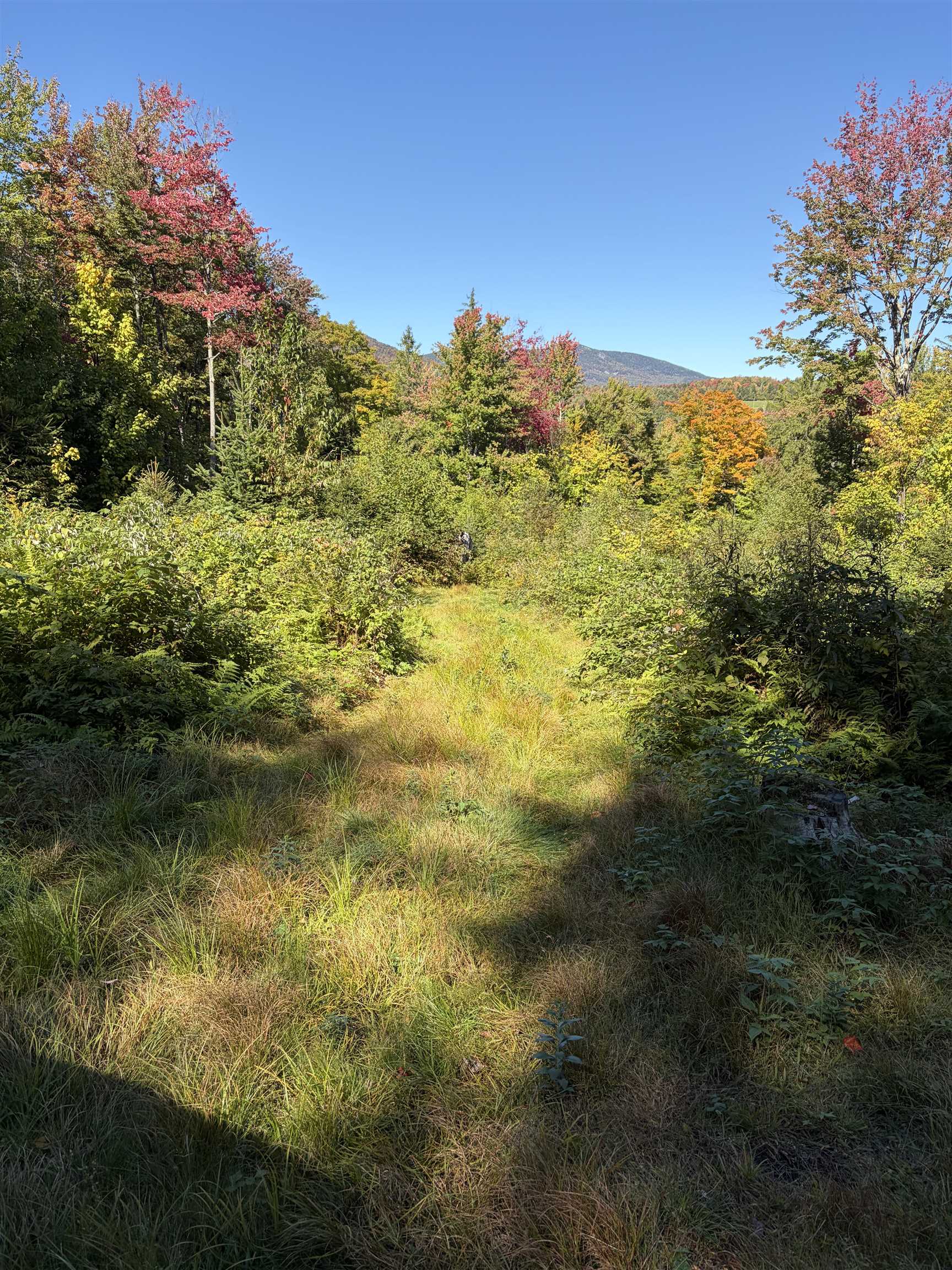 0 Leland Farm Road Property Photo 7