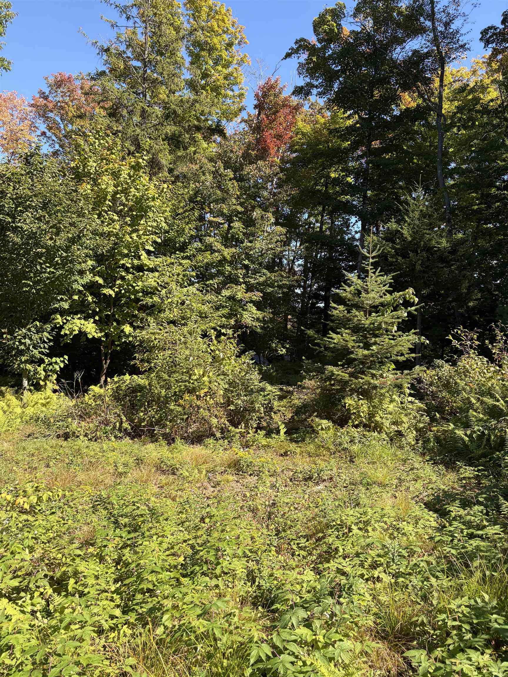 0 Leland Farm Road Property Photo 8