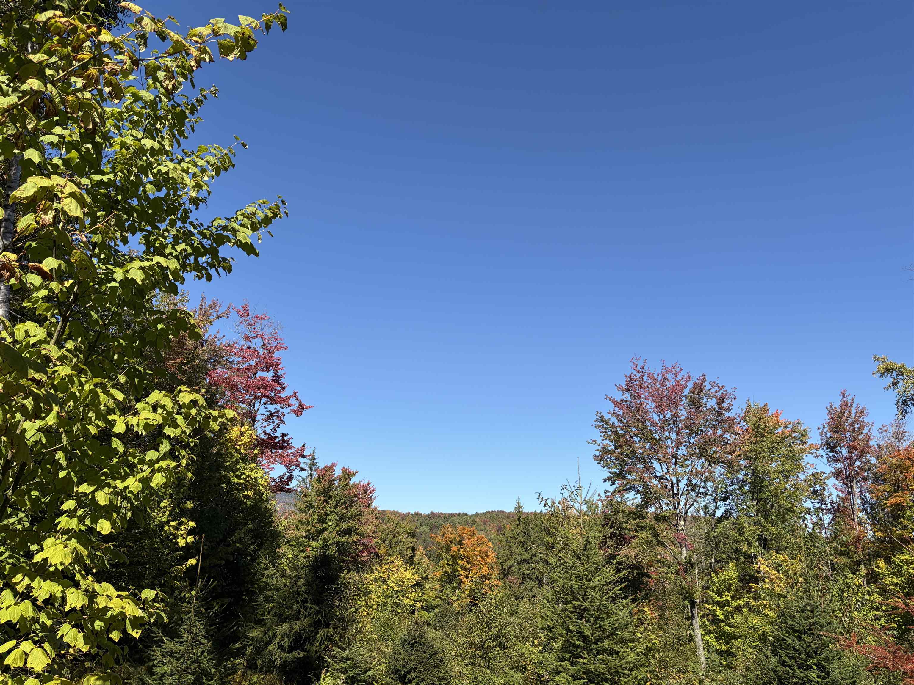 0 Leland Farm Road Property Photo 12