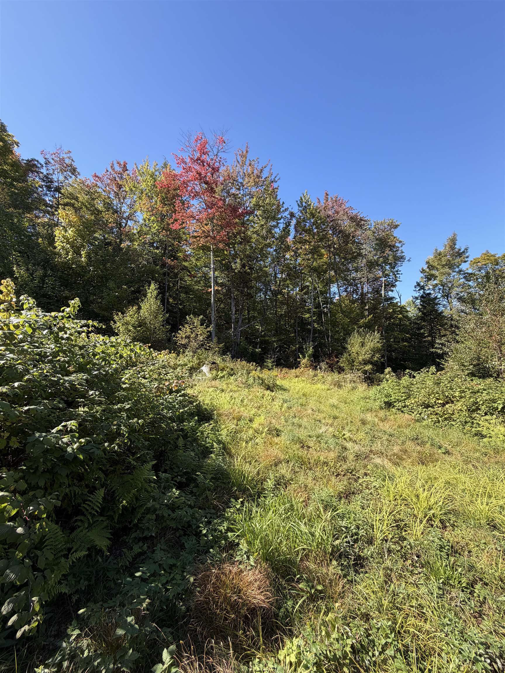 0 Leland Farm Road Property Photo 13