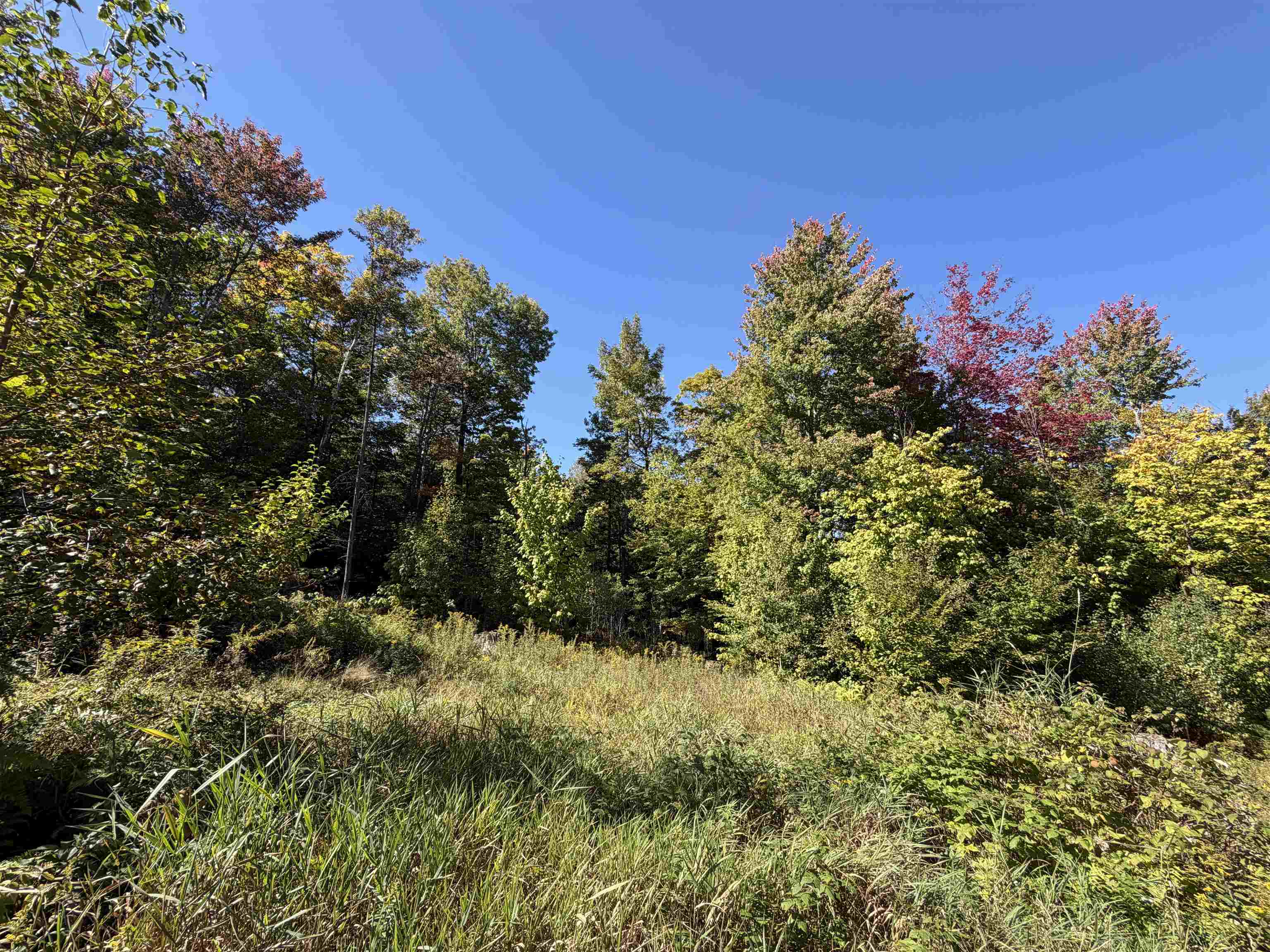 0 Leland Farm Road Property Photo 14