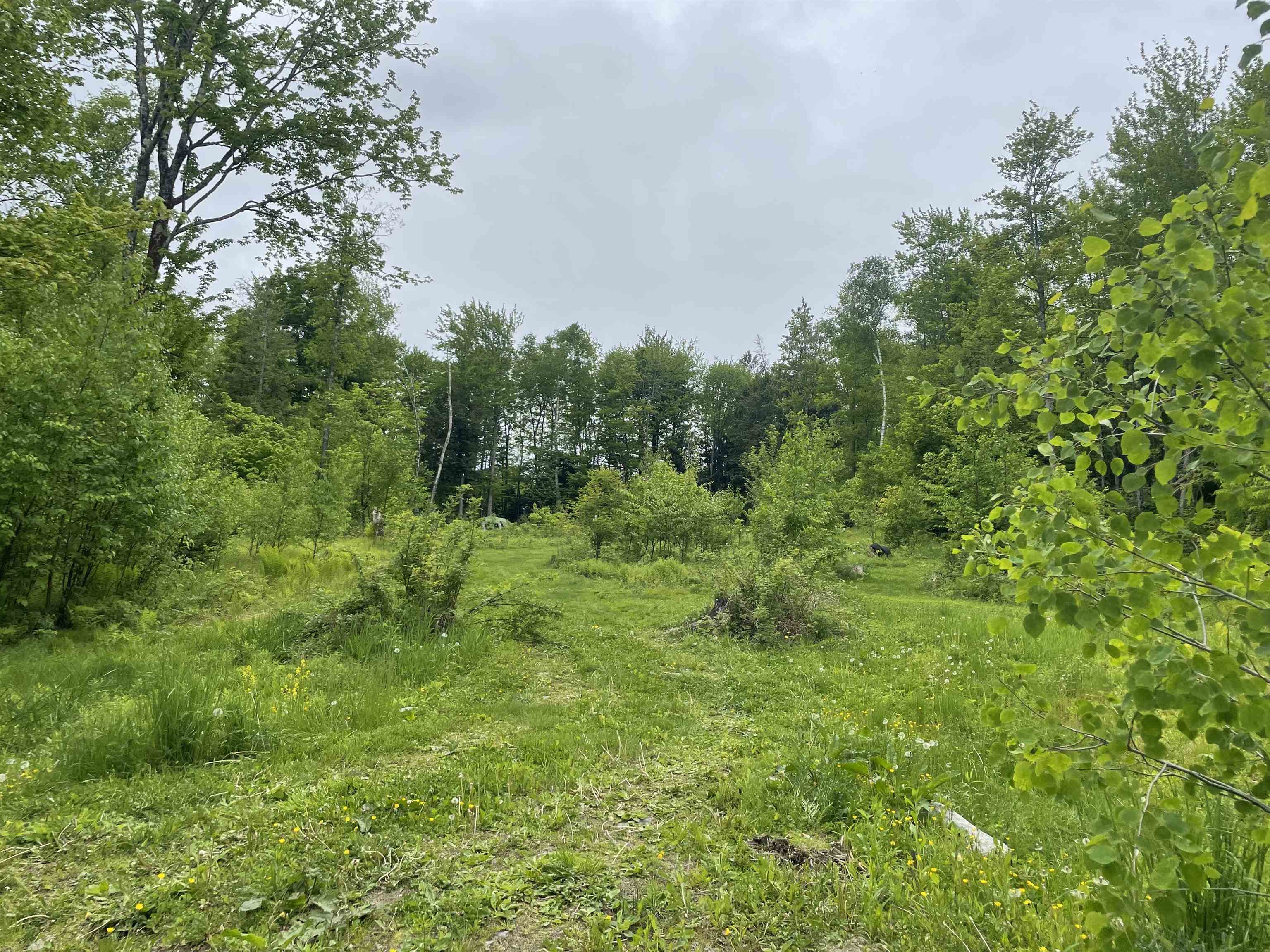 0 Leland Farm Road Property Photo 17