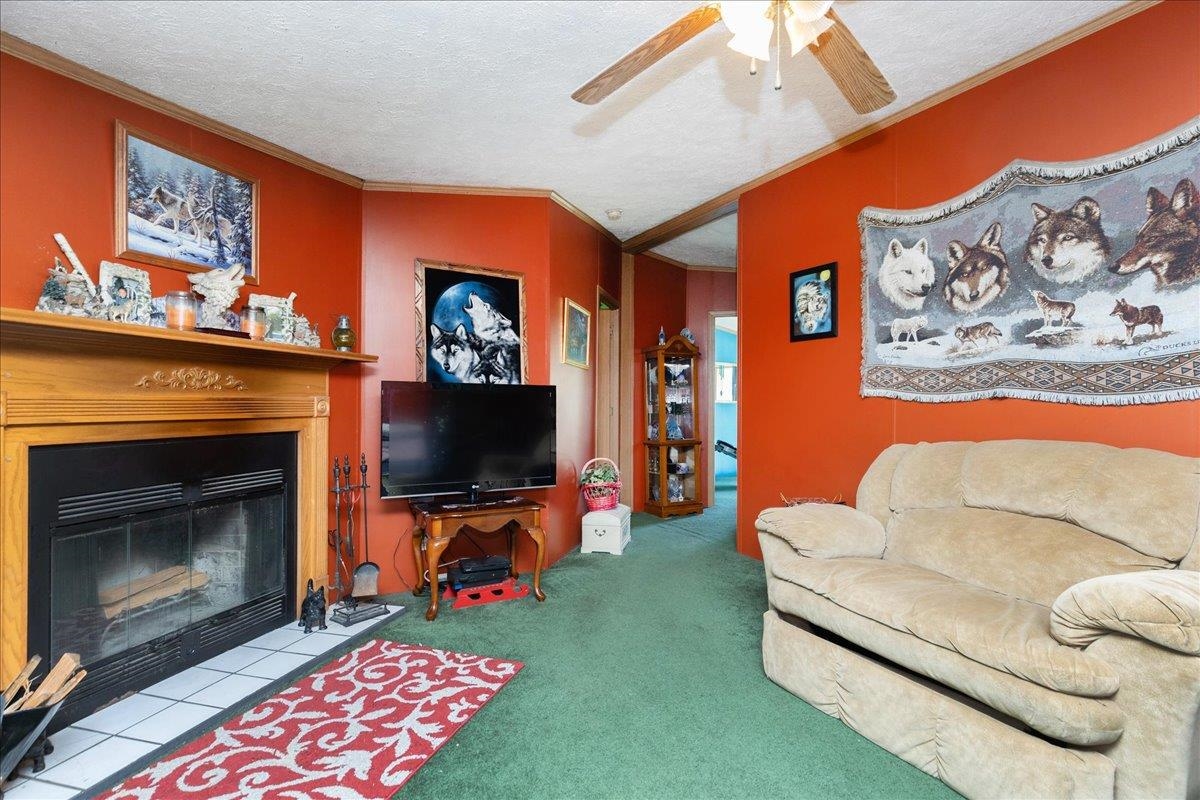 11 Allen Street Property Photo 8