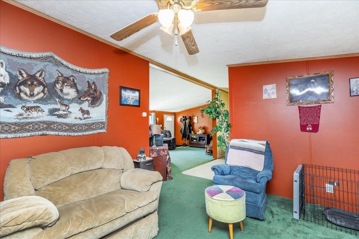 11 Allen Street Property Photo 9