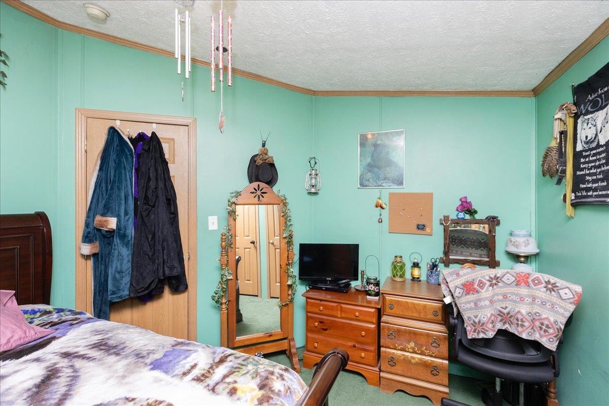 11 Allen Street Property Photo 24