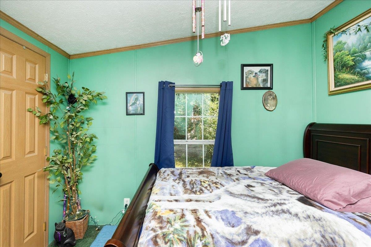 11 Allen Street Property Photo 25