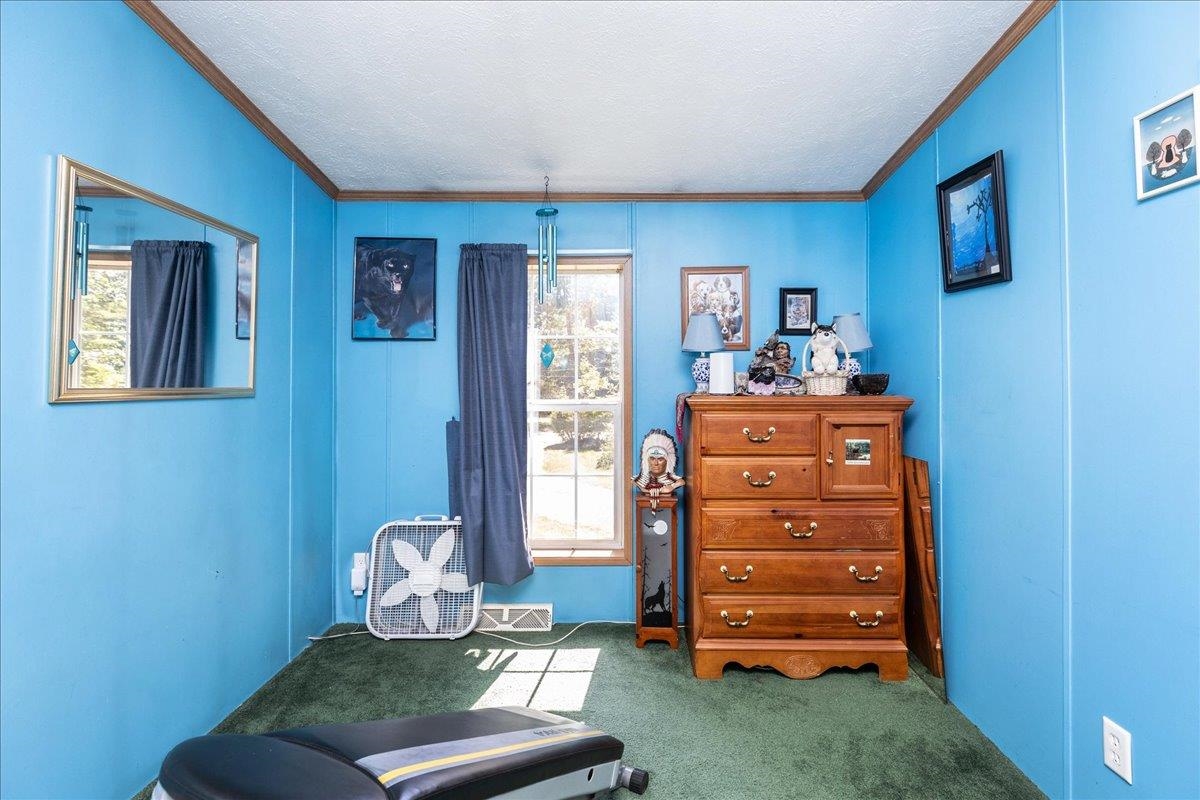 11 Allen Street Property Photo 28