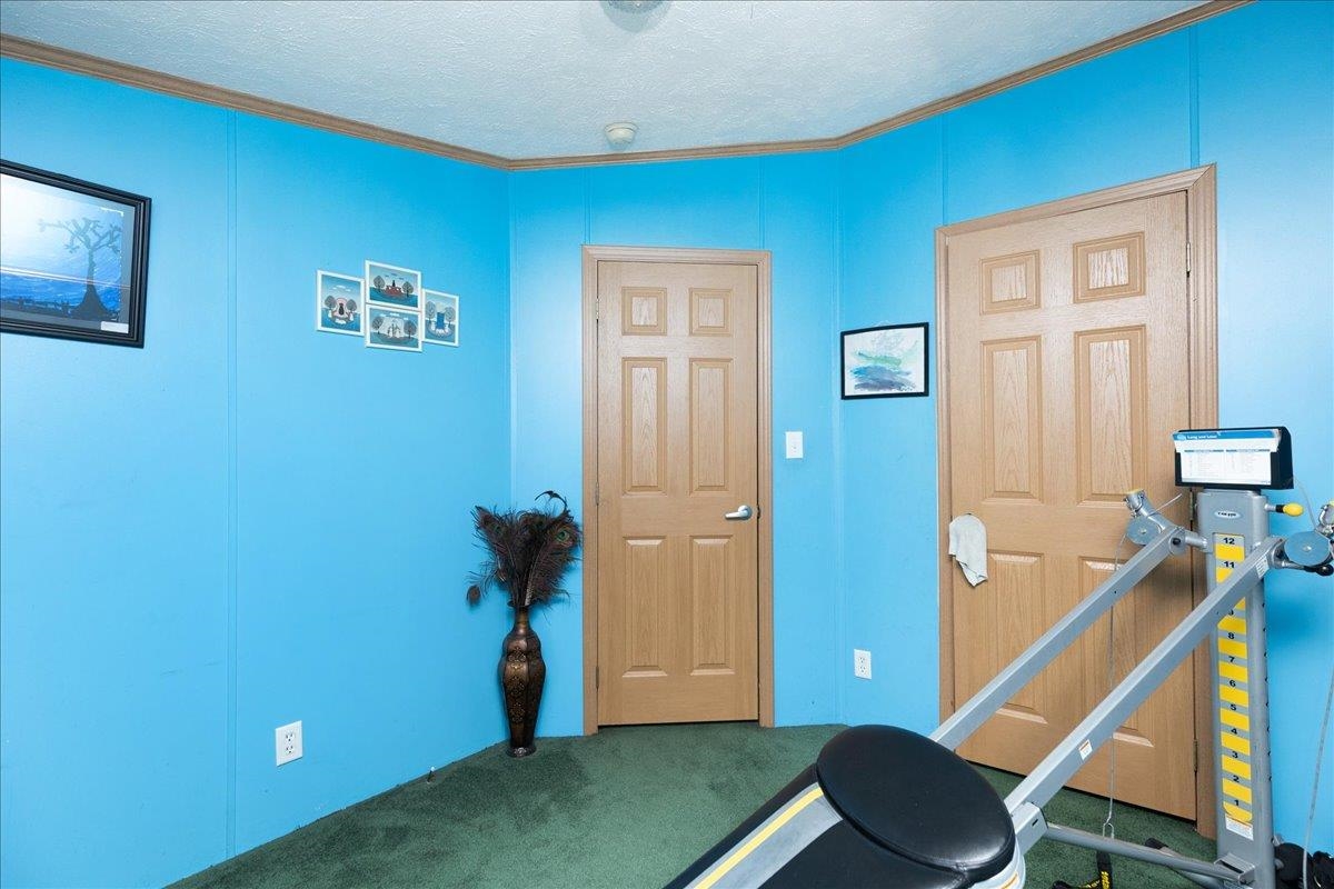 11 Allen Street Property Photo 29