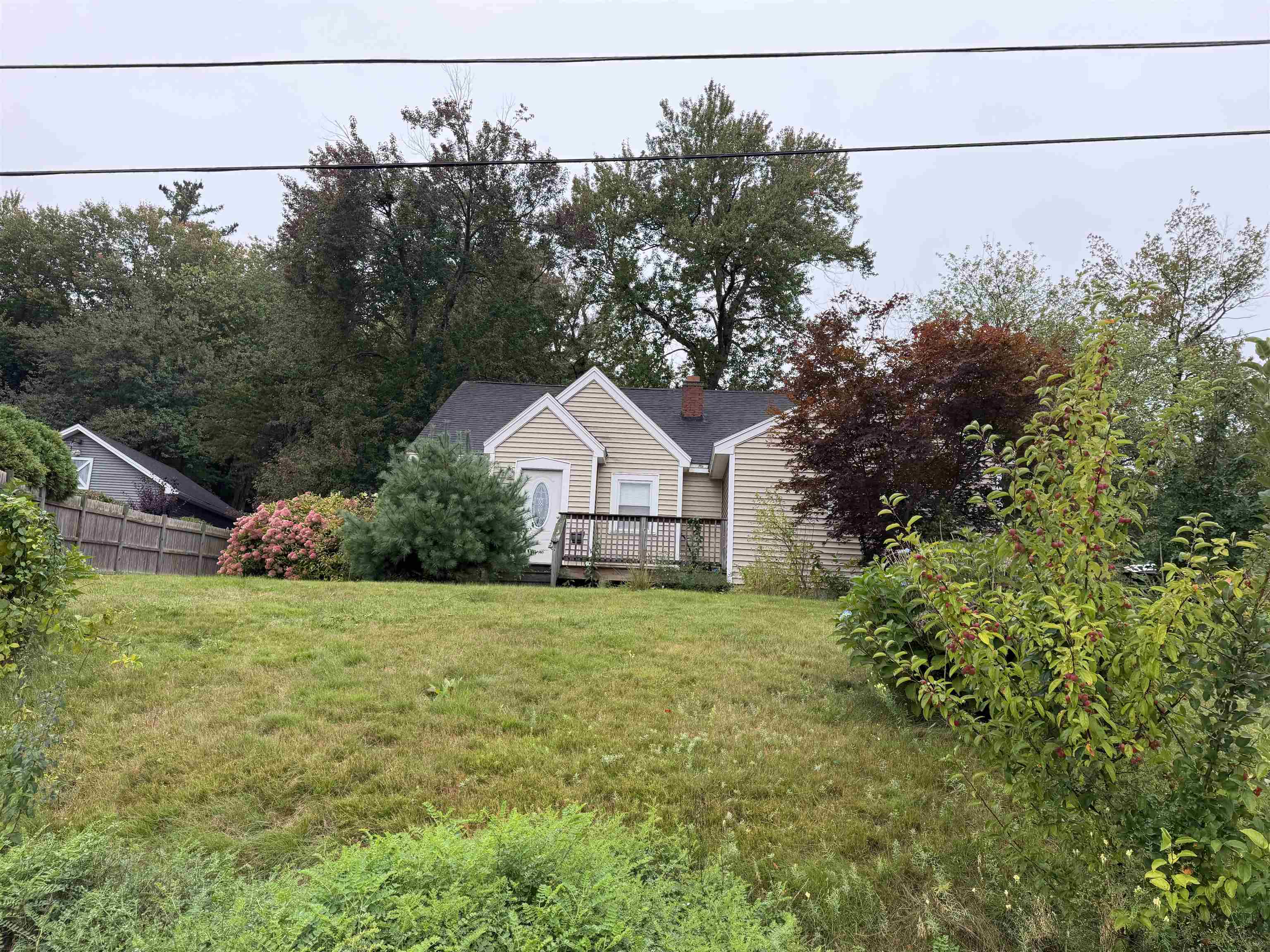 39 Pike Street Property Photo 1