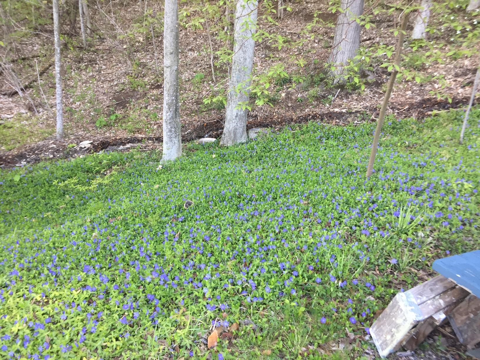 114 Root Road Property Photo 48