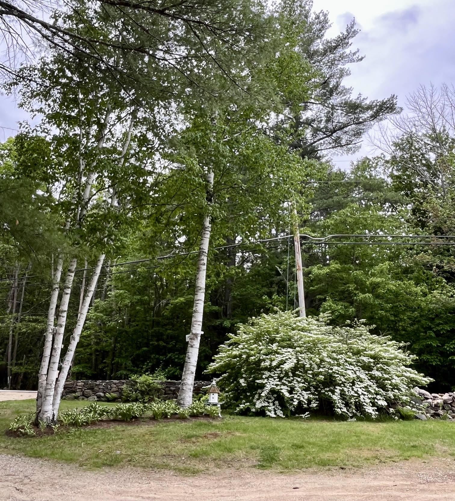 355 Stage Road Property Photo 49