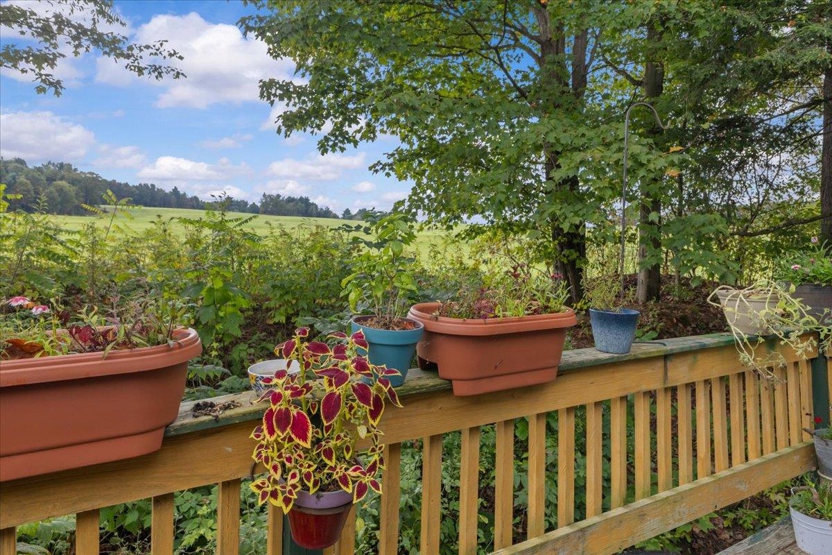 169 Pine Lane Property Photo 18