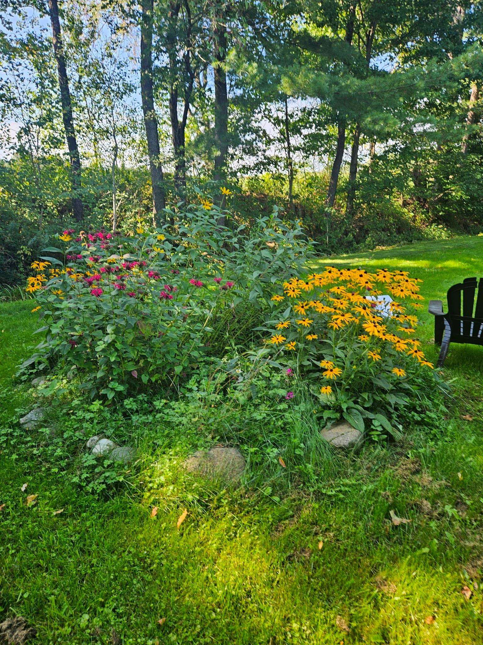 169 Pine Lane Property Photo 41