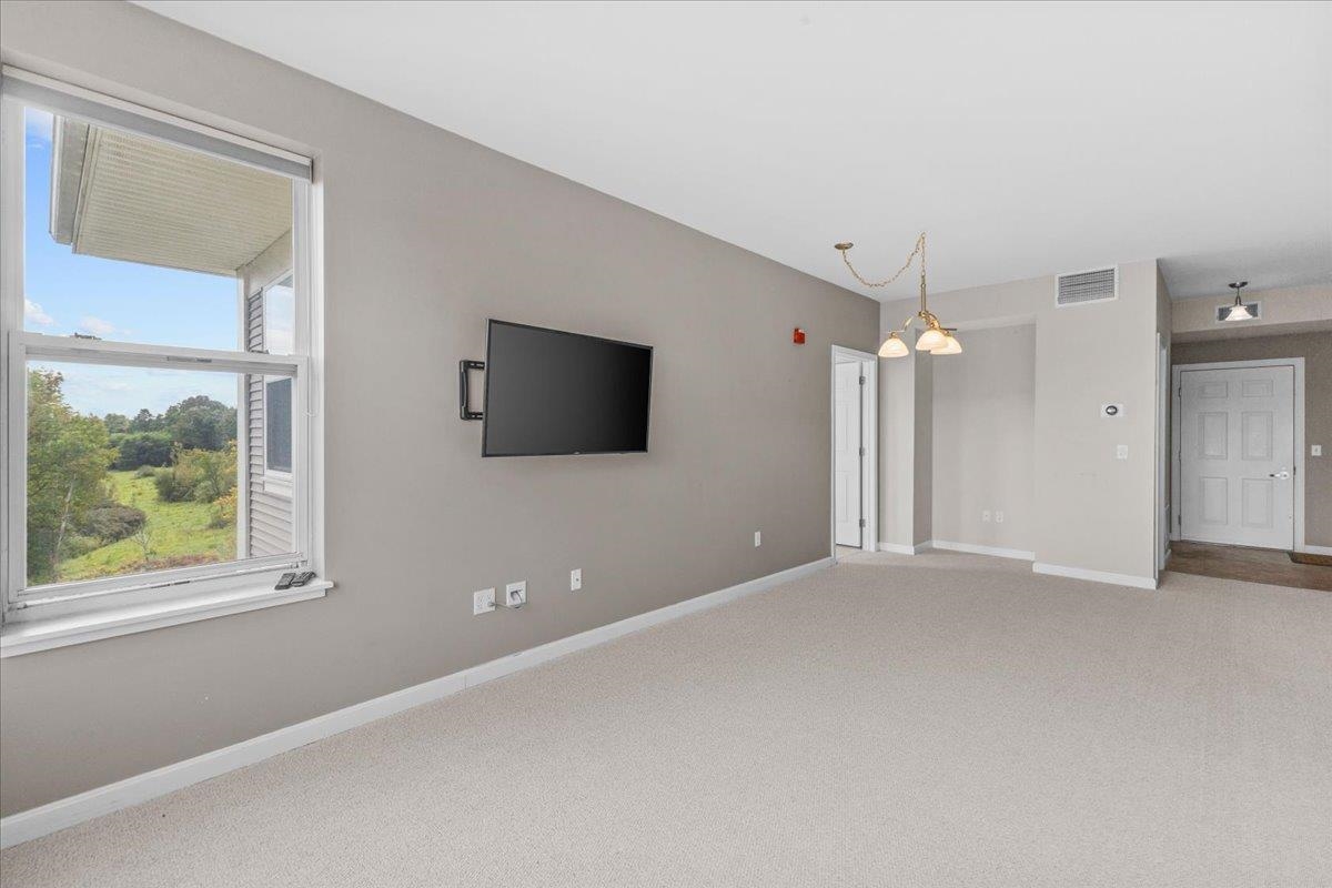 160 Wiley Road Property Photo 18