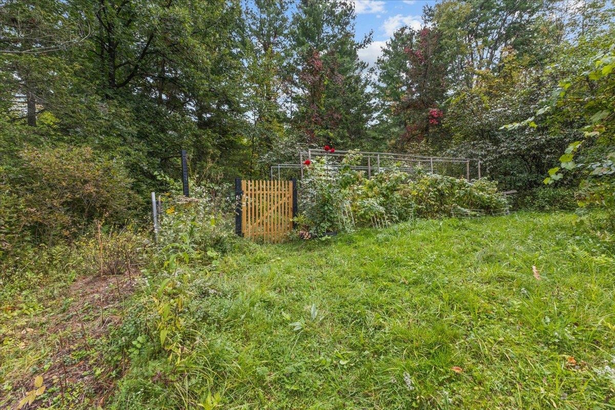 160 Wiley Road Property Photo 34