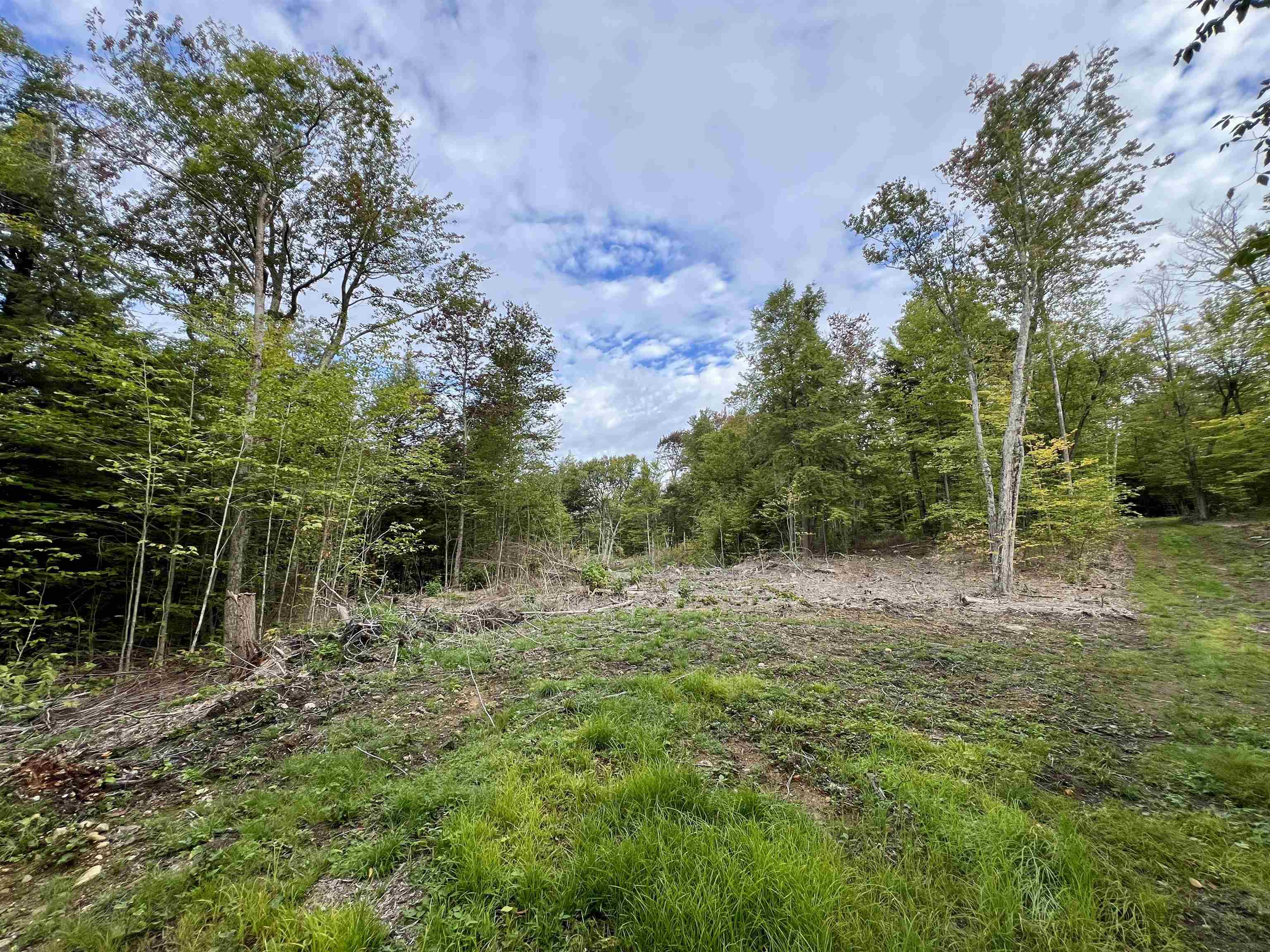 Forrester Road Property Photo 2