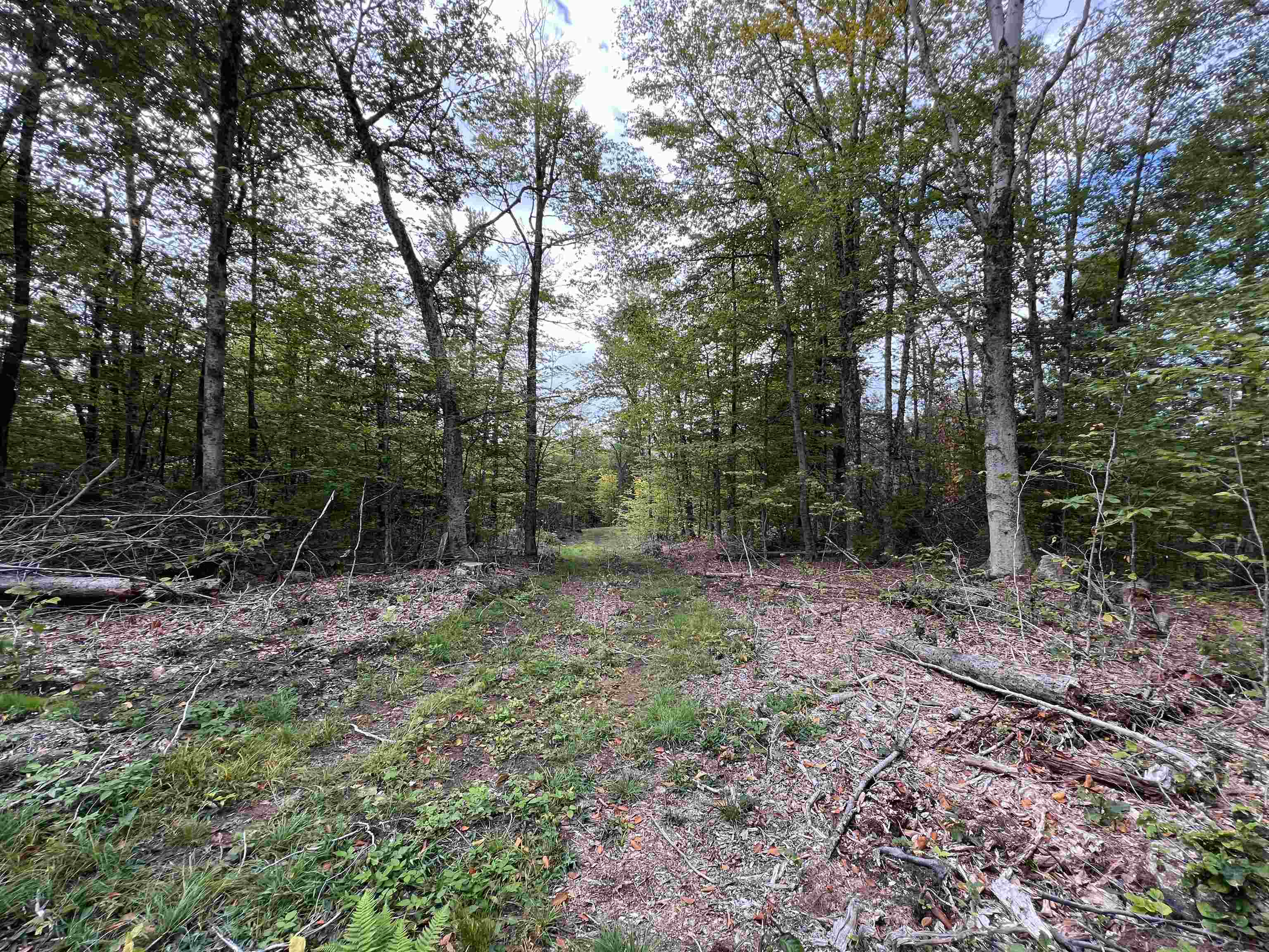 Forrester Road Property Photo 3