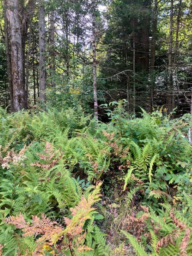 0 Four Wheel Drive Property Photo 1