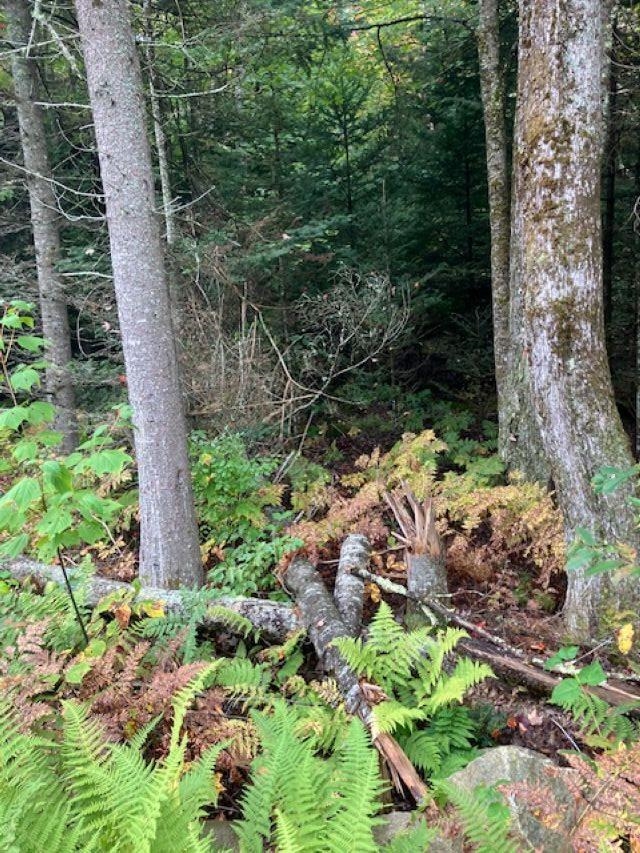 0 Four Wheel Drive Property Photo 6