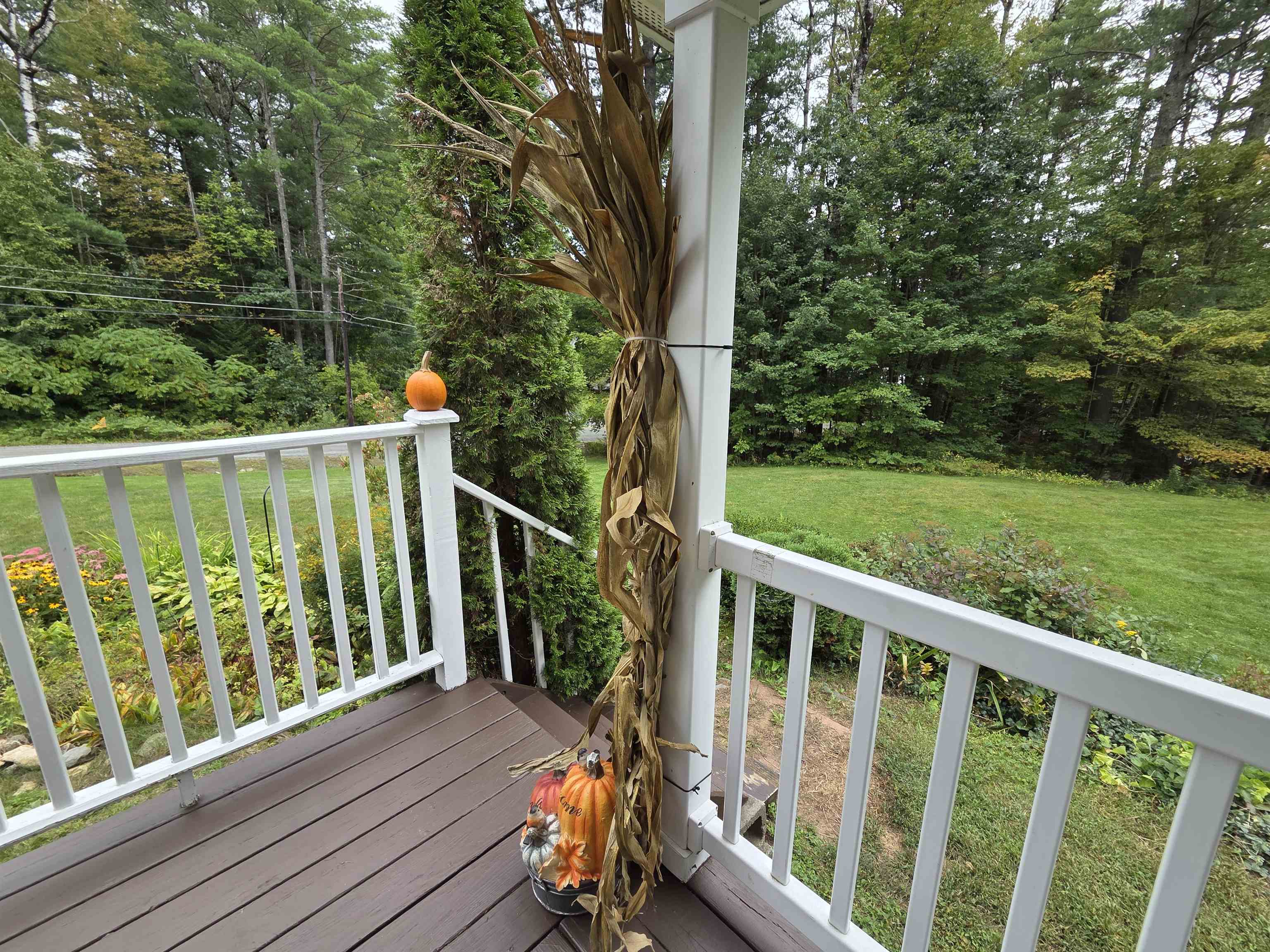 12 Perry Road Property Photo 26