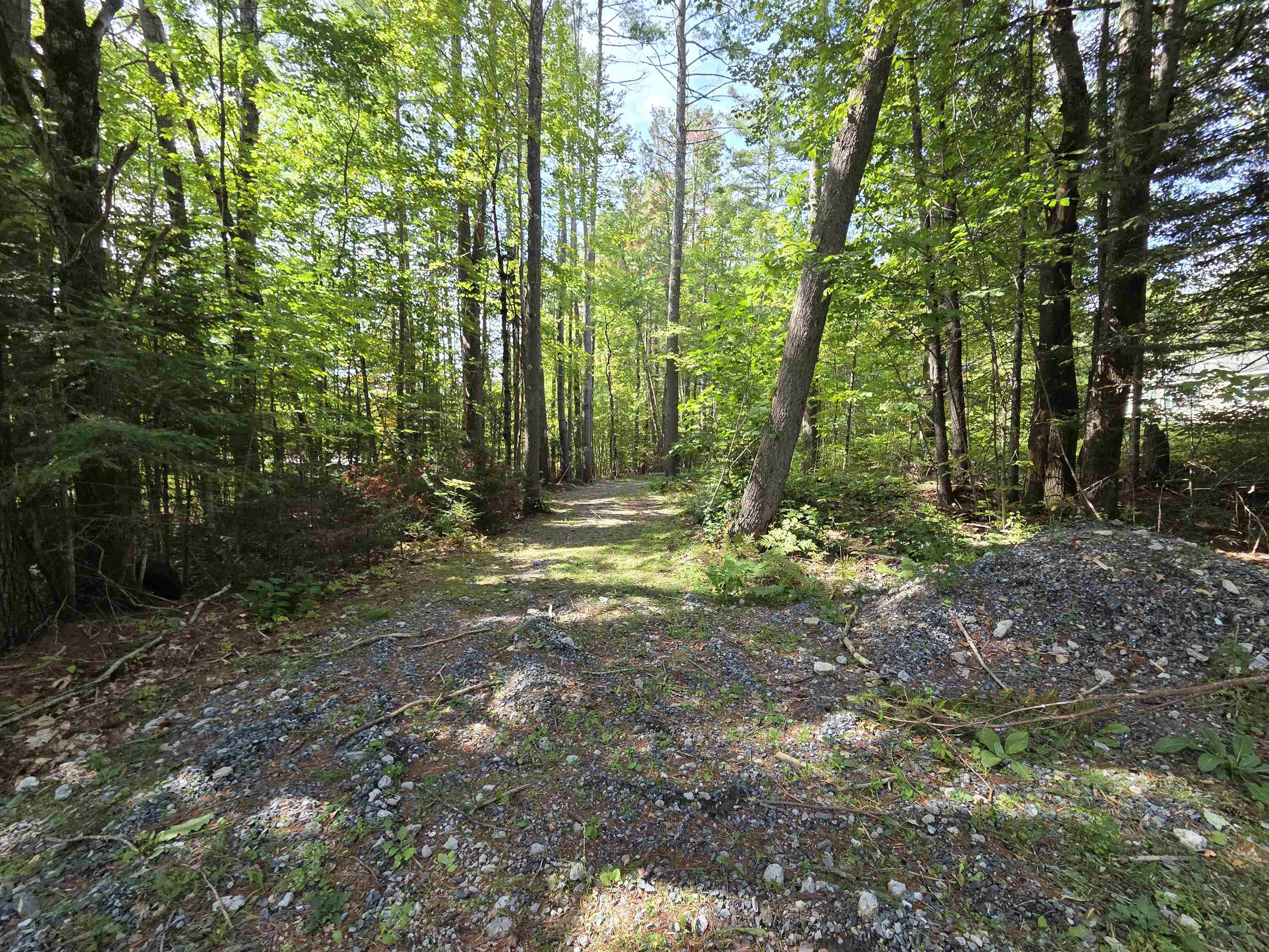 12 Perry Road Property Photo 36