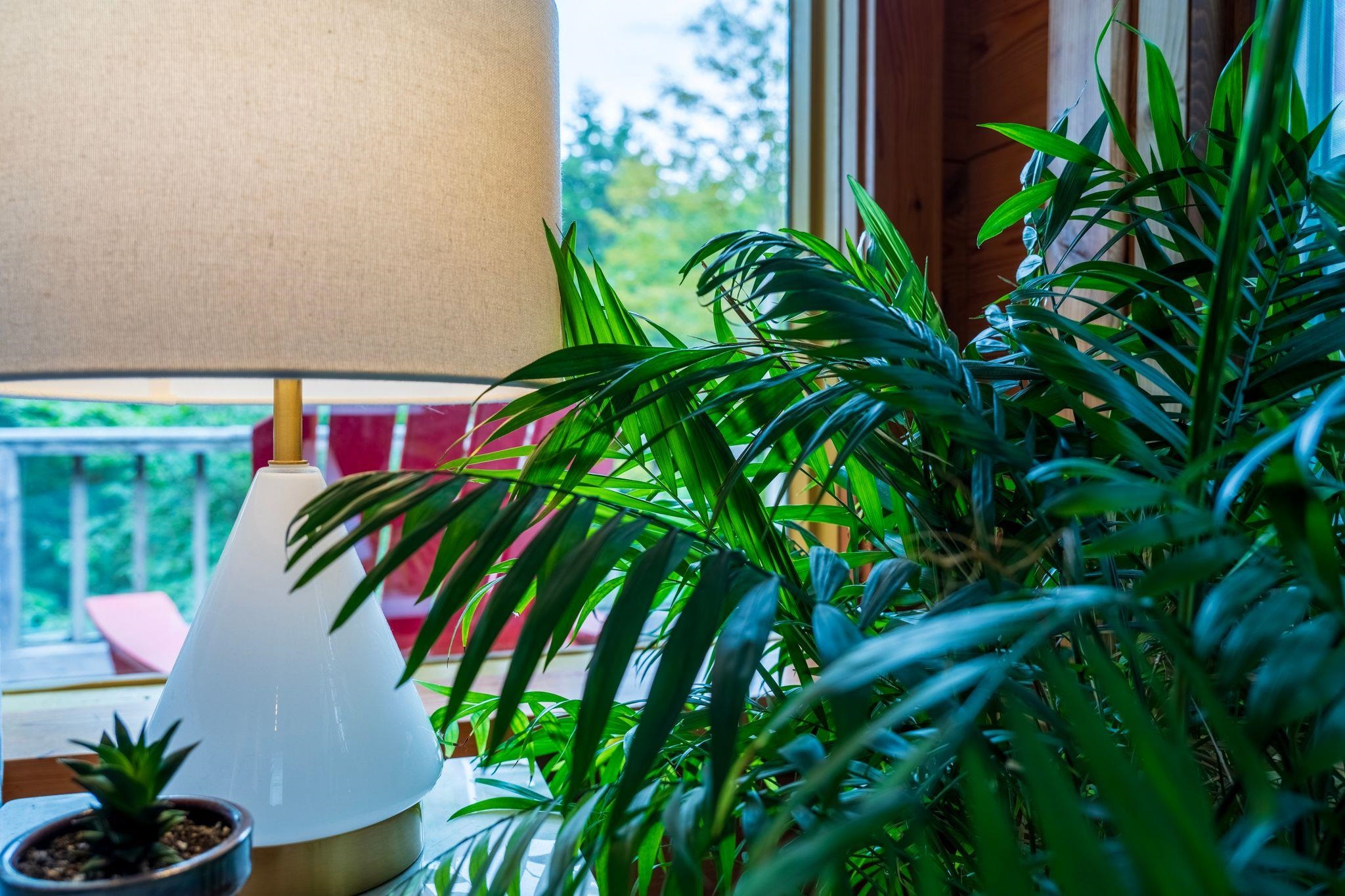 3042 Sweet Pond Road Property Photo 42