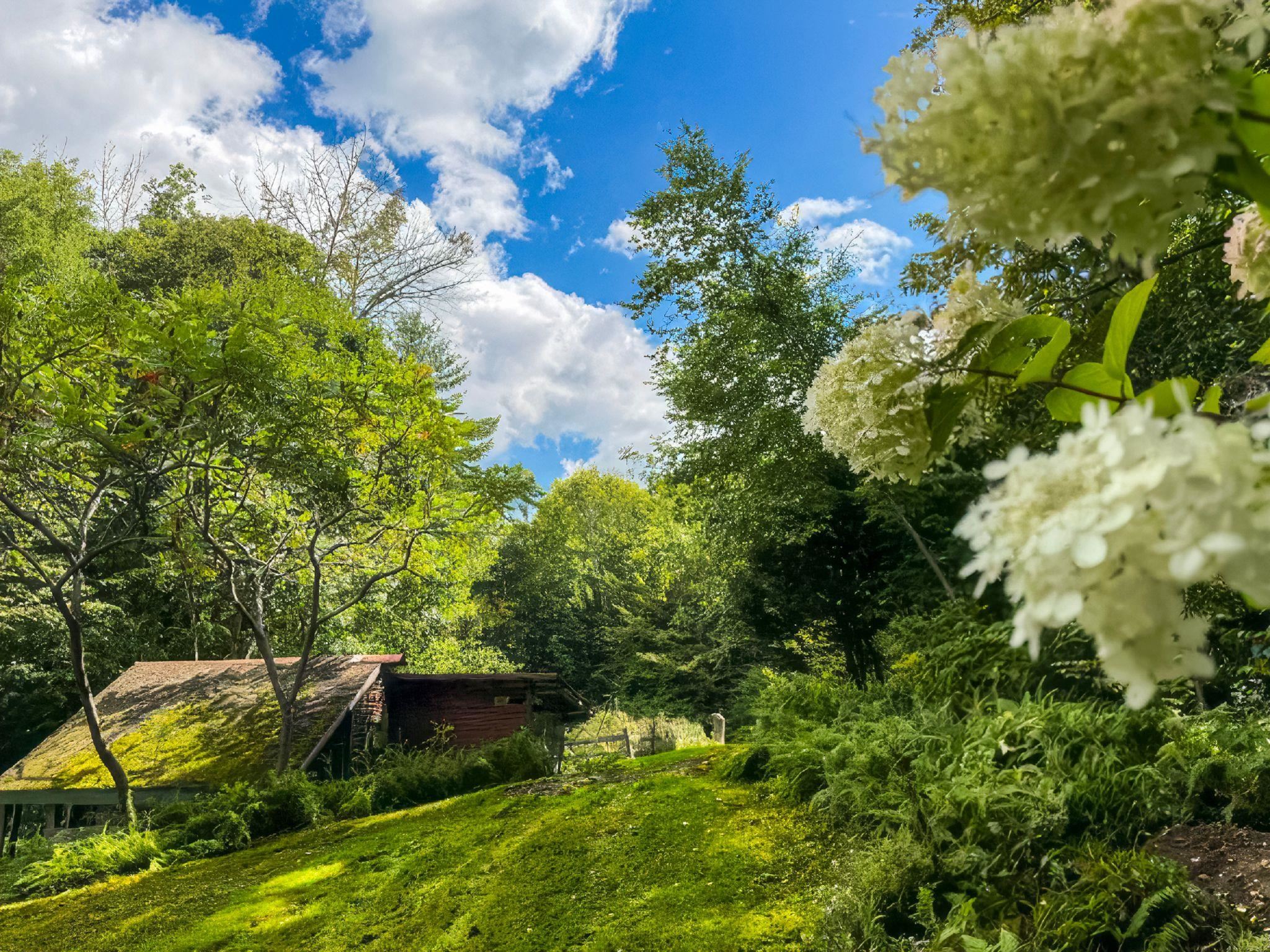 3042 Sweet Pond Road Property Photo 45