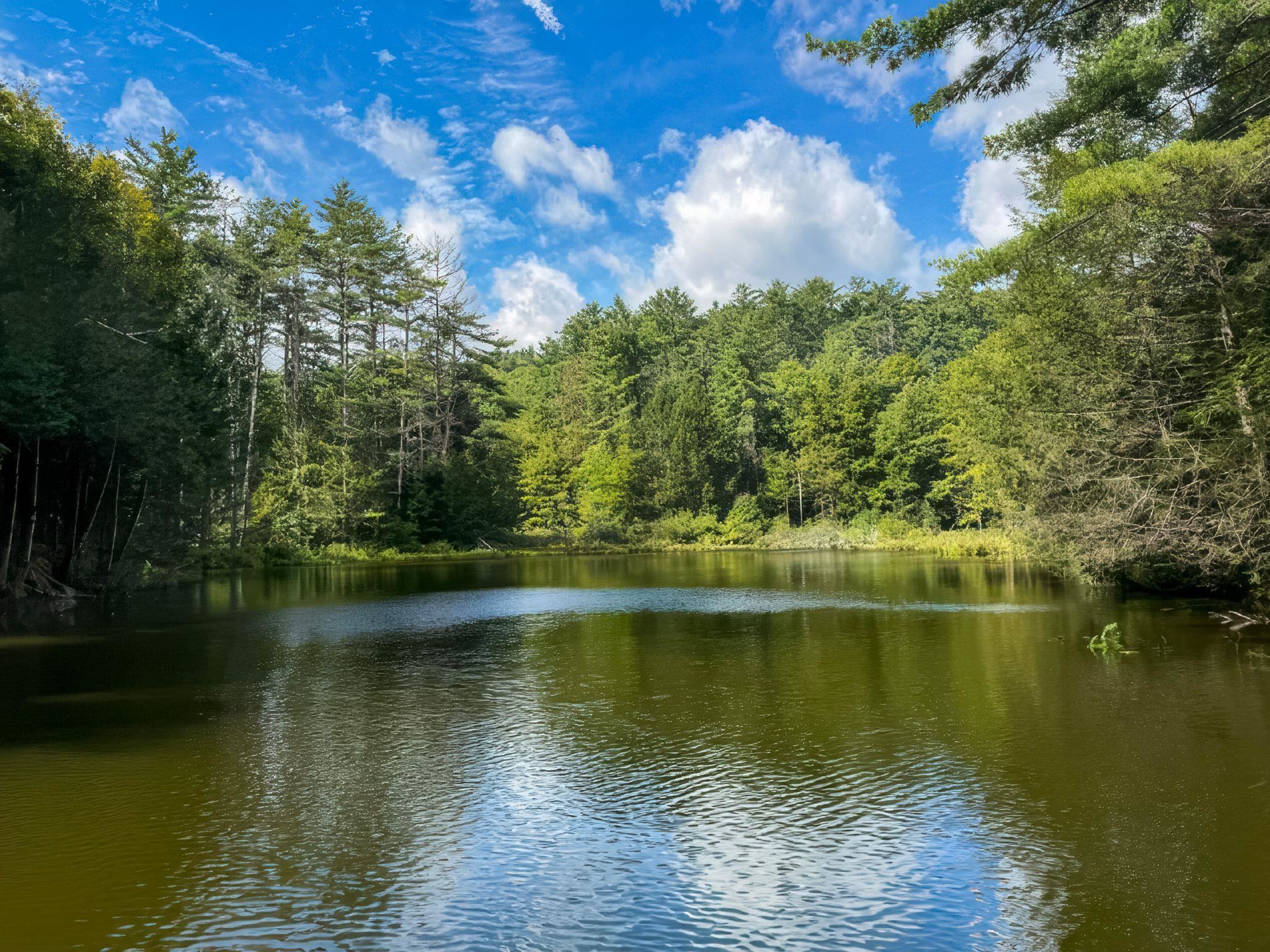 3042 Sweet Pond Road Property Photo 47