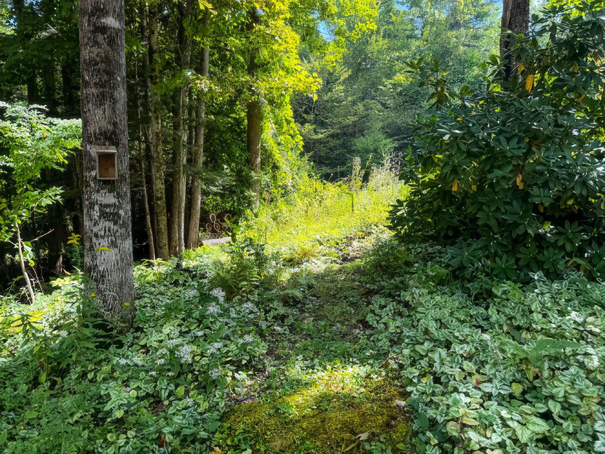 3042 Sweet Pond Road Property Photo 52