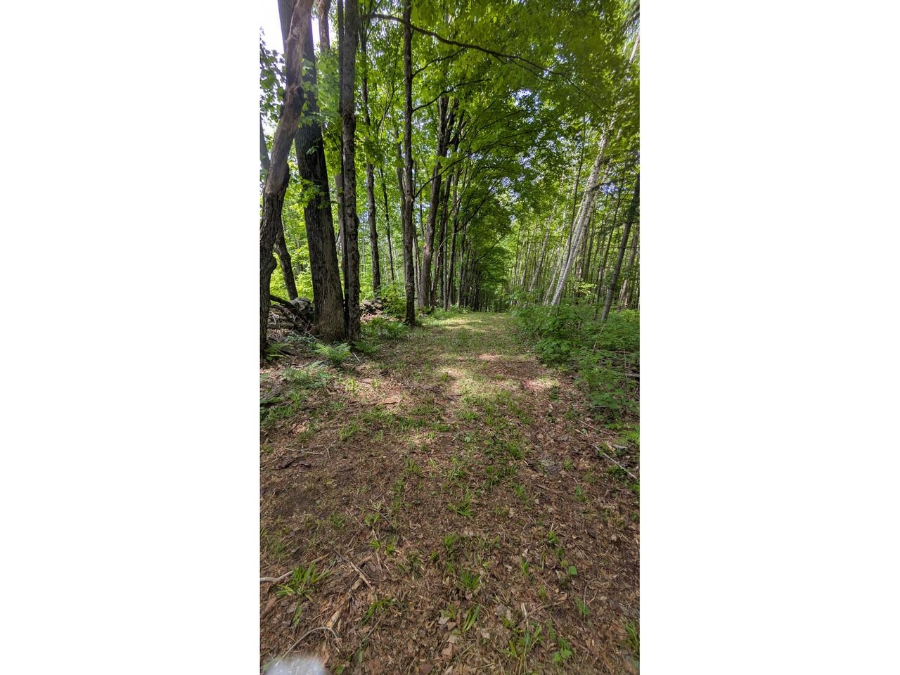 100 Page Hill Road Property Photo 37
