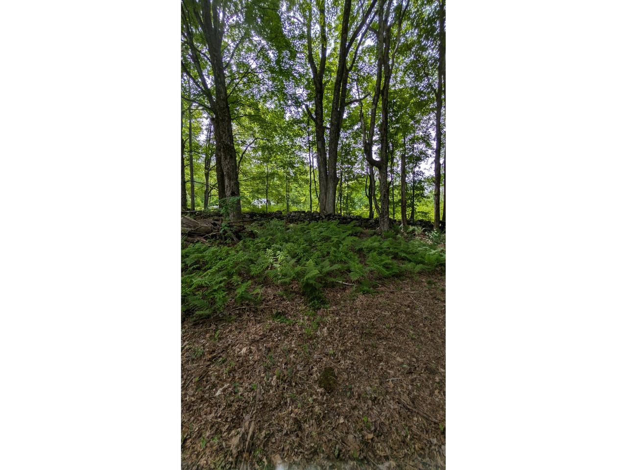 100 Page Hill Road Property Photo 47