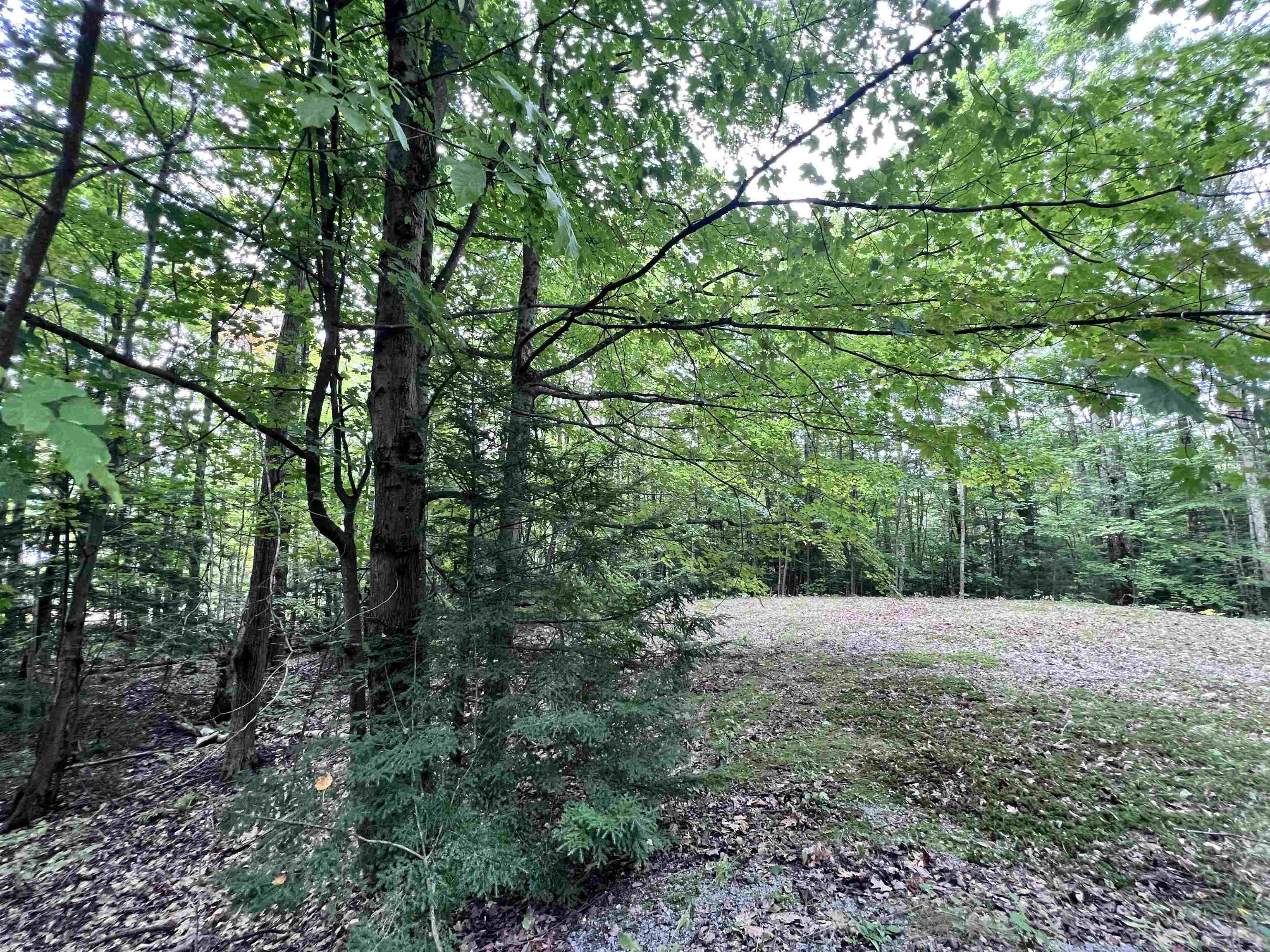 441 Old County Road Property Photo 23