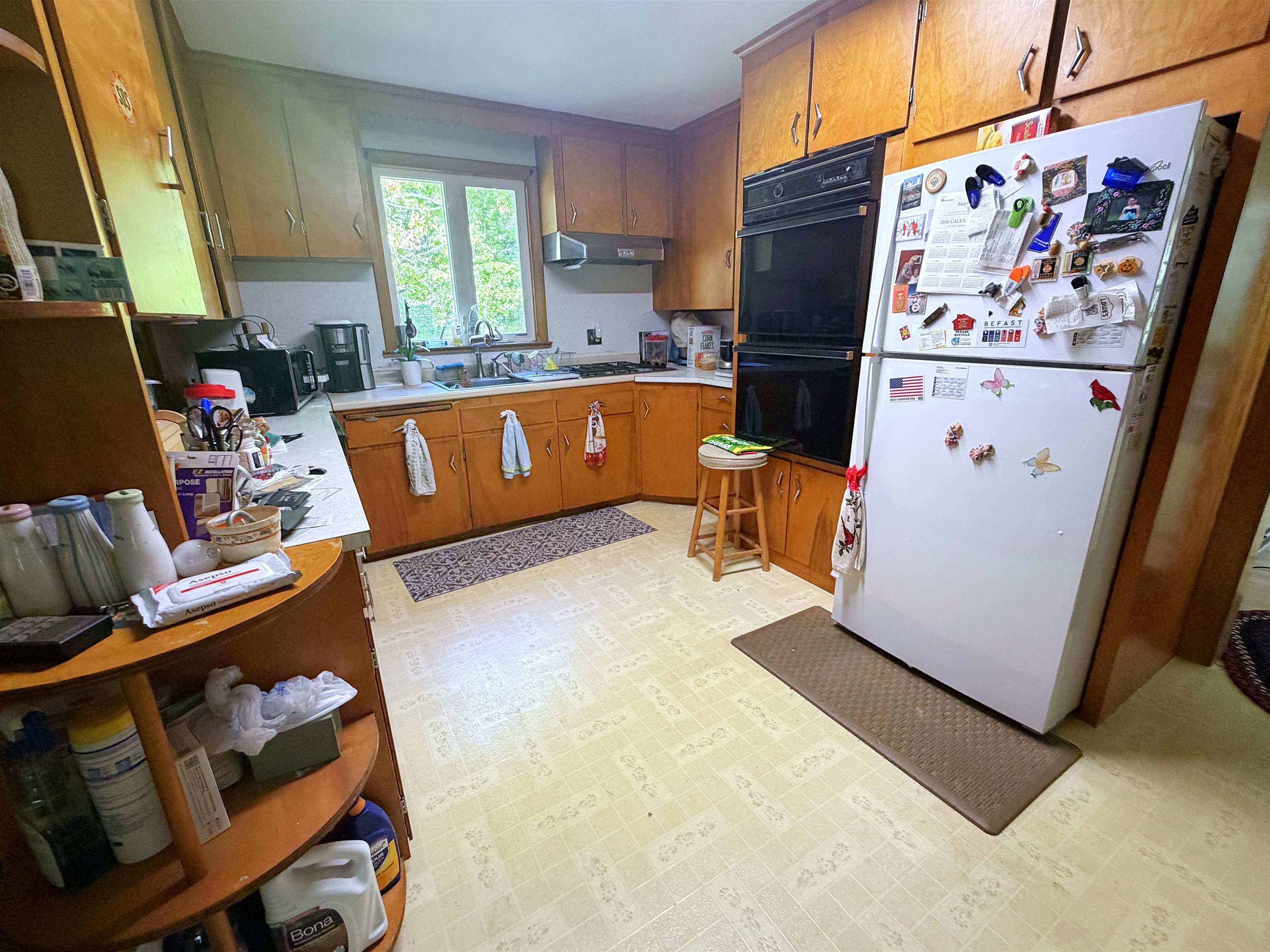13 Florence Drive Property Photo 12
