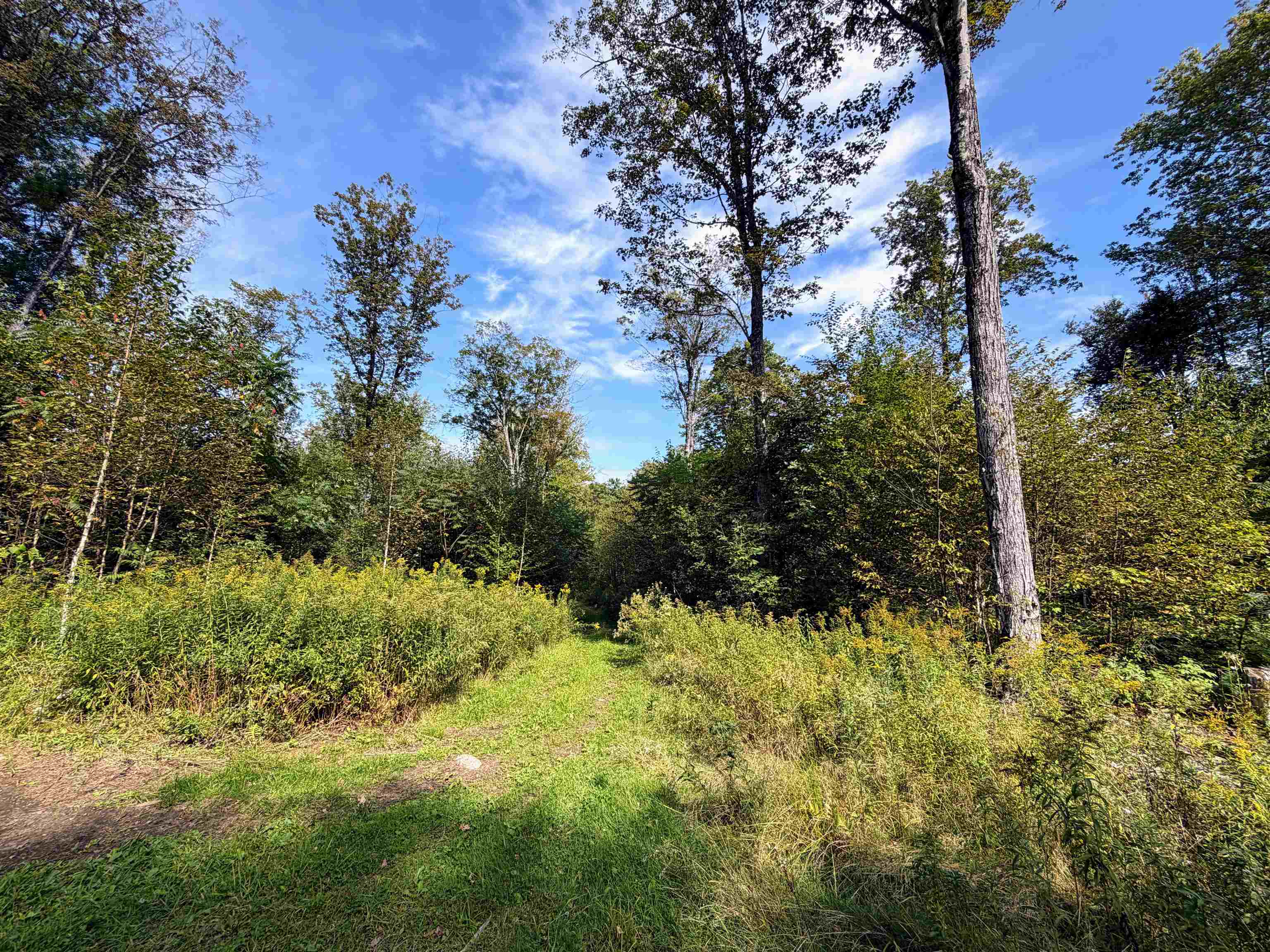 Griswold Drive Property Photo 8