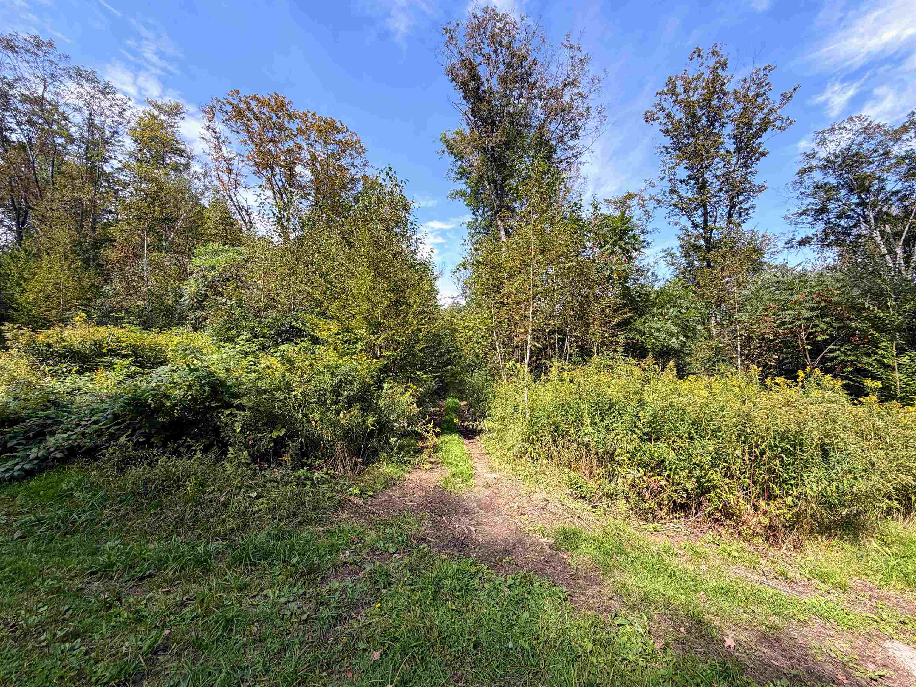 Griswold Drive Property Photo 9