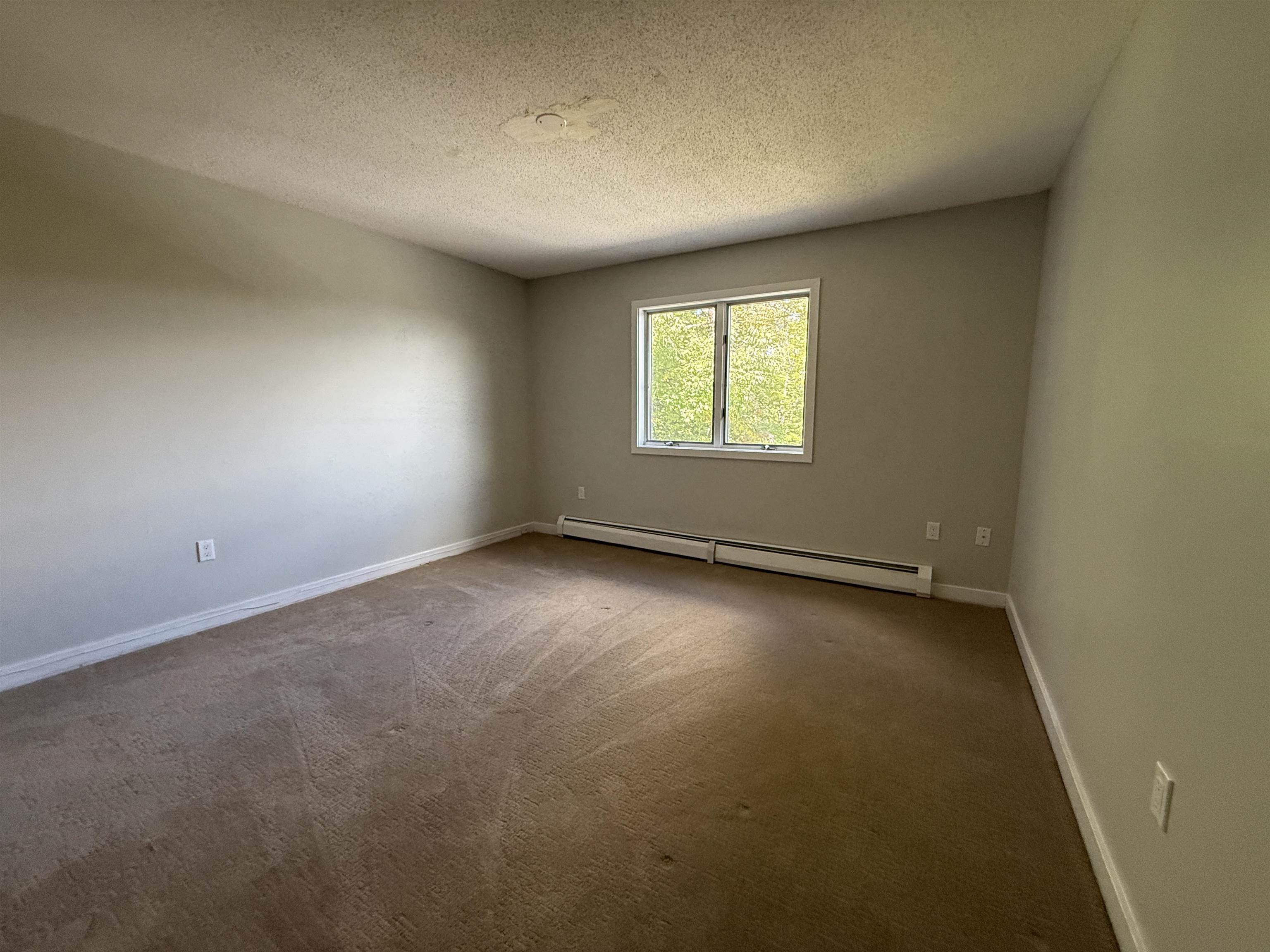 58 Buckboard Drive Property Photo 26