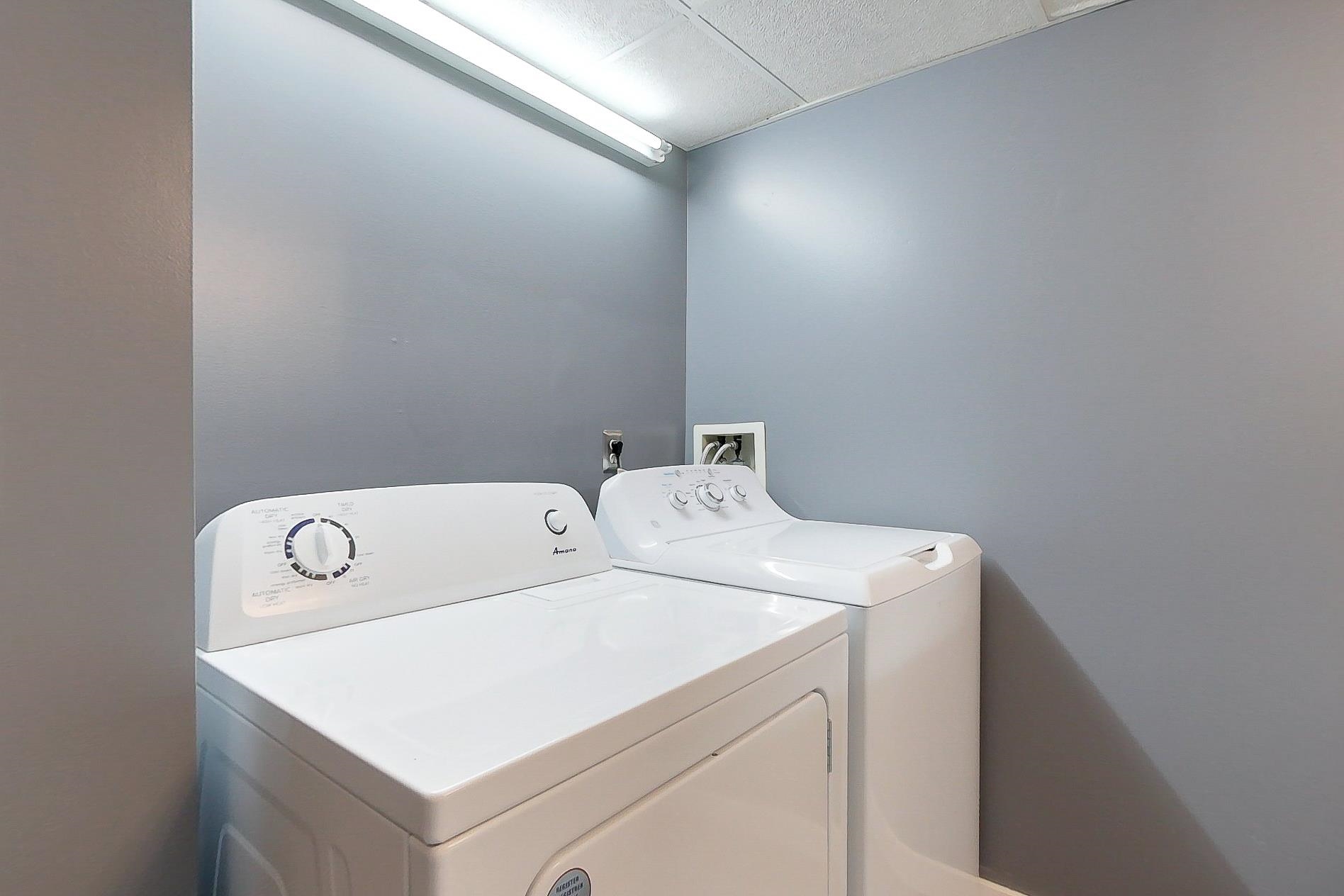 8 Antrim Street Property Photo 21