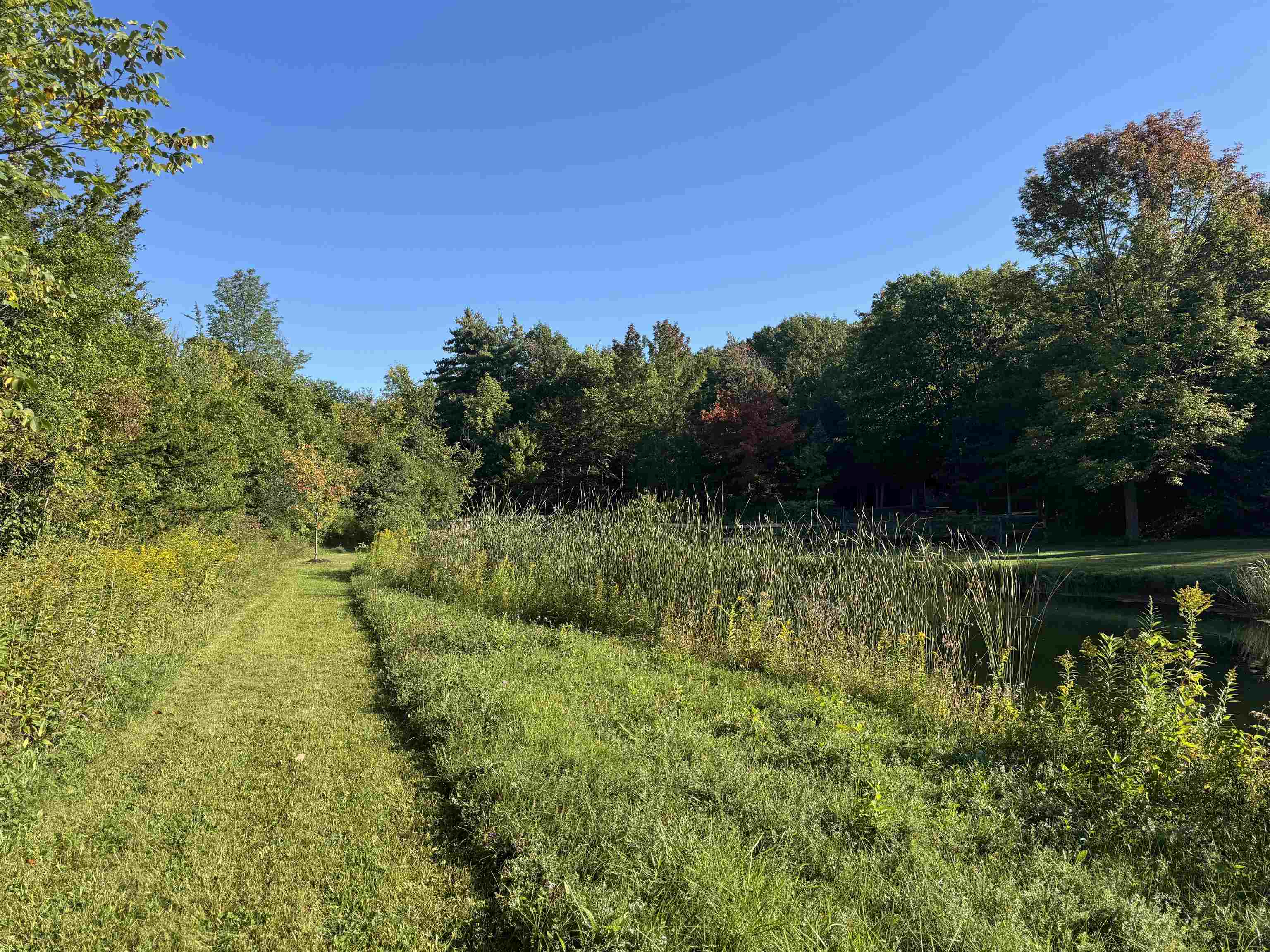 150 Lower Old Town Trail Property Photo 38