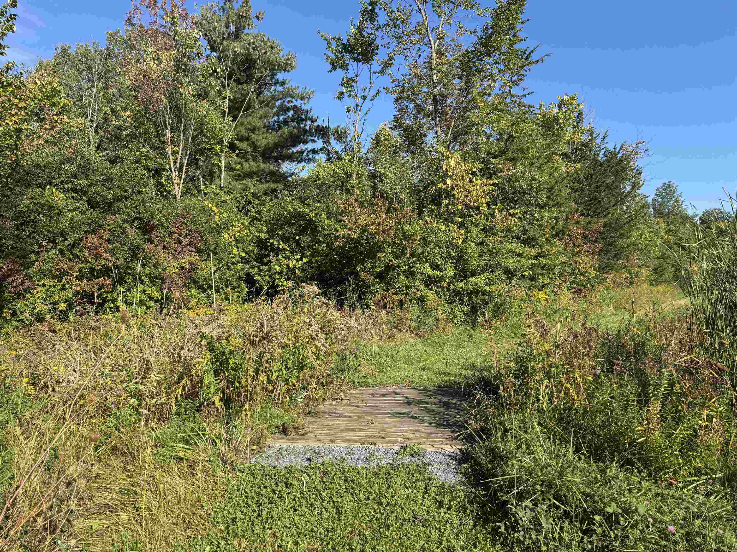 150 Lower Old Town Trail Property Photo 39
