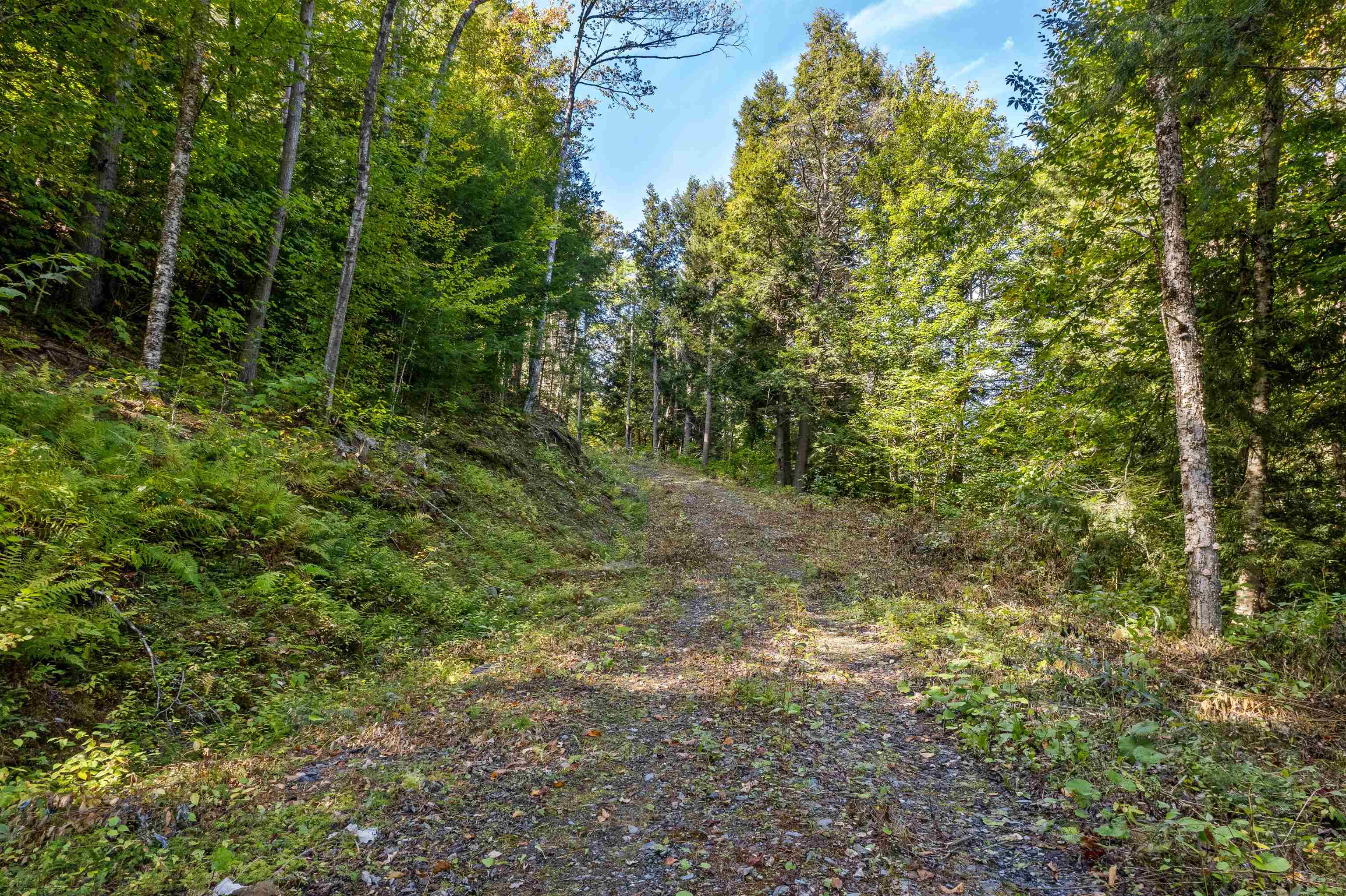 664 Ranney Road Property Photo 4