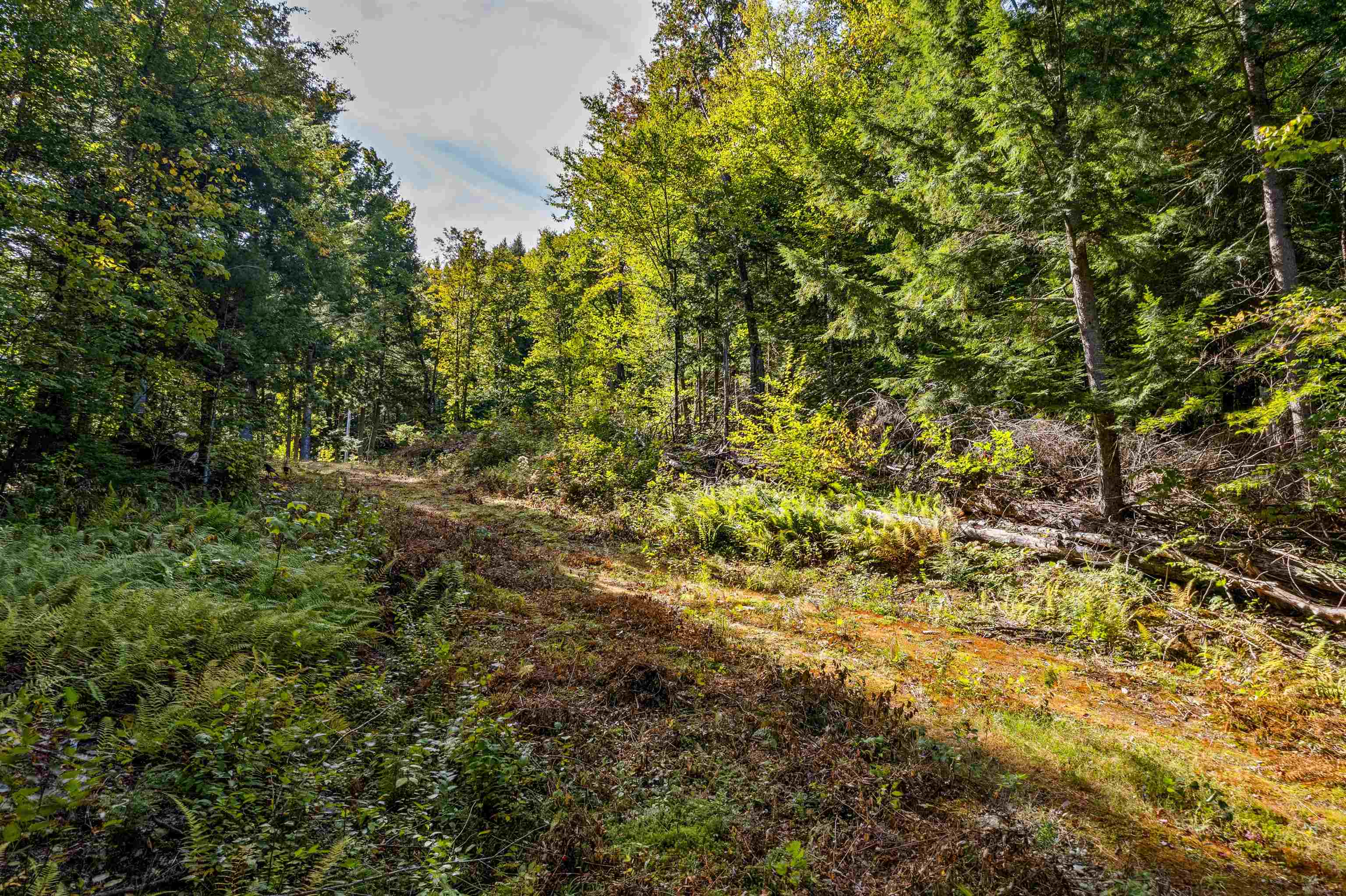 664 Ranney Road Property Photo 7