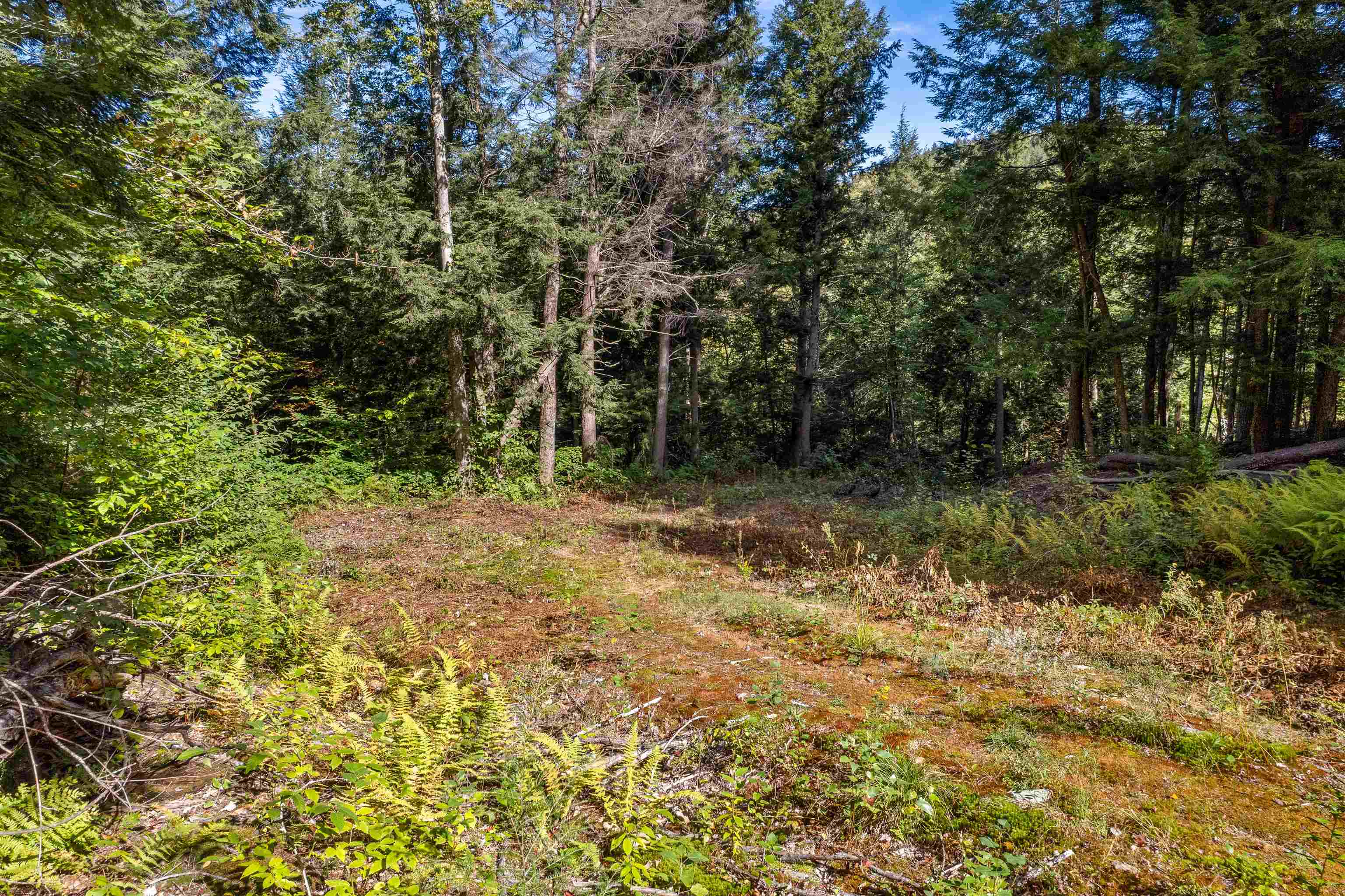 664 Ranney Road Property Photo 8
