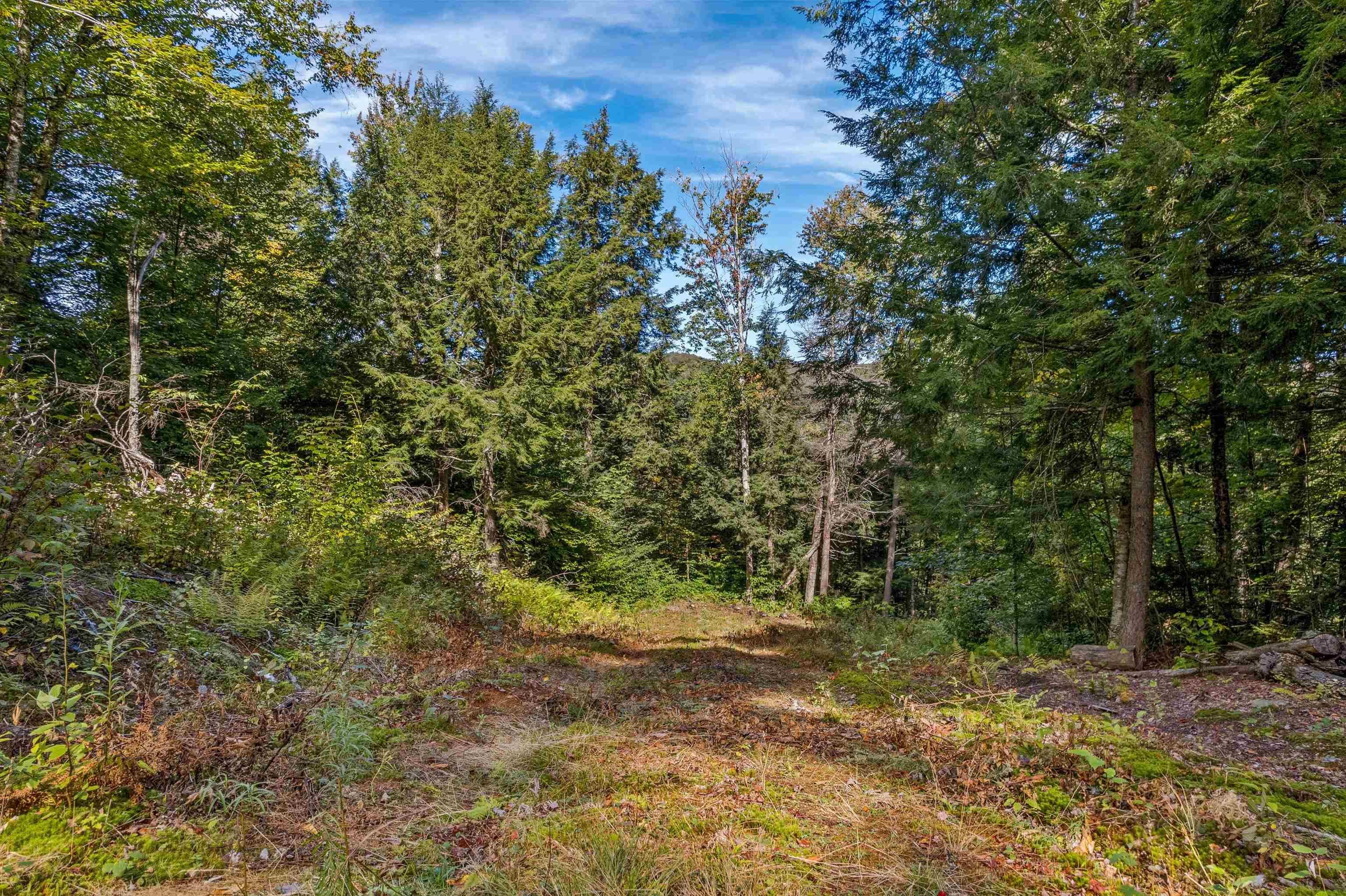 664 Ranney Road Property Photo 9