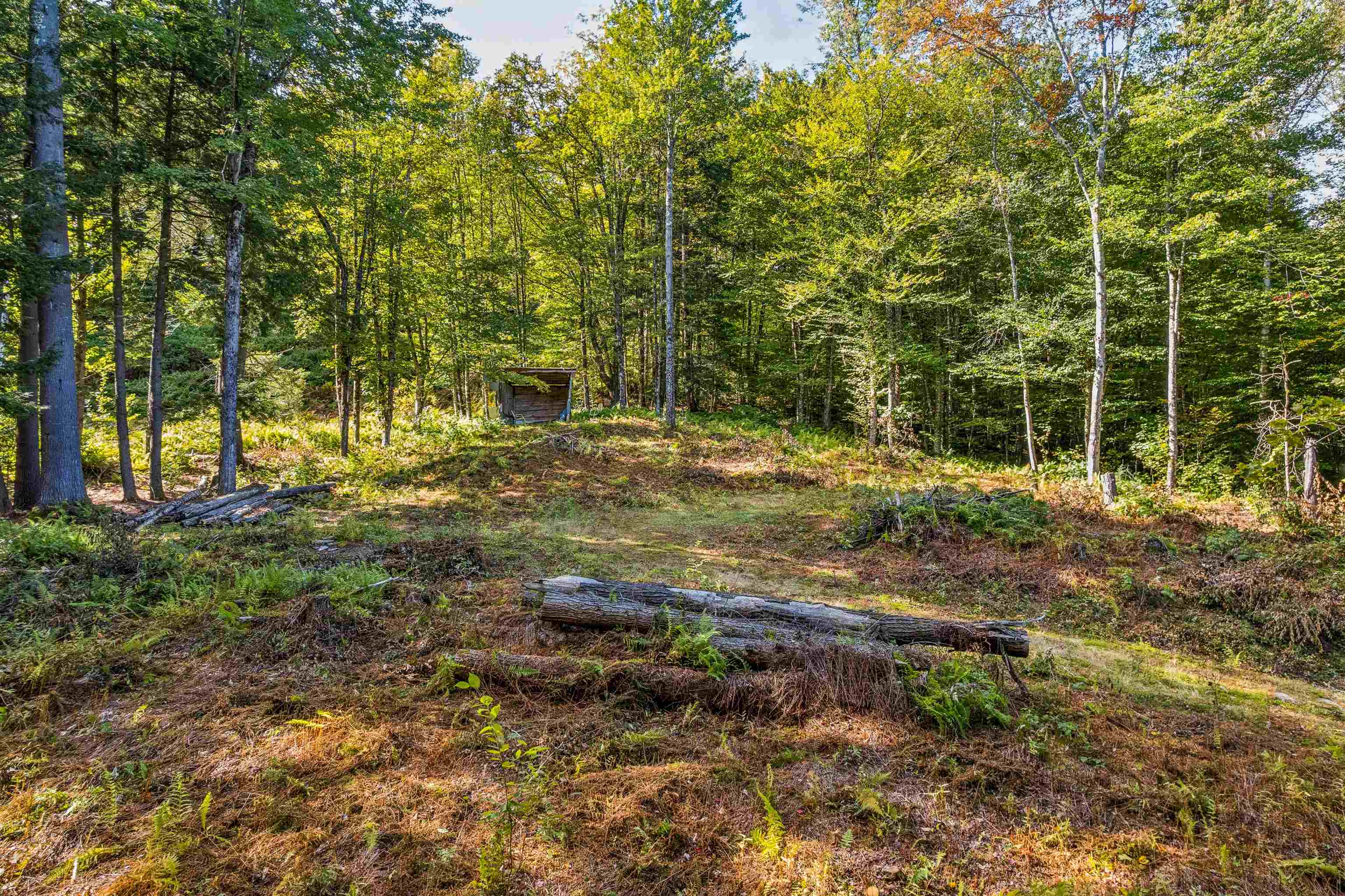 664 Ranney Road Property Photo 10