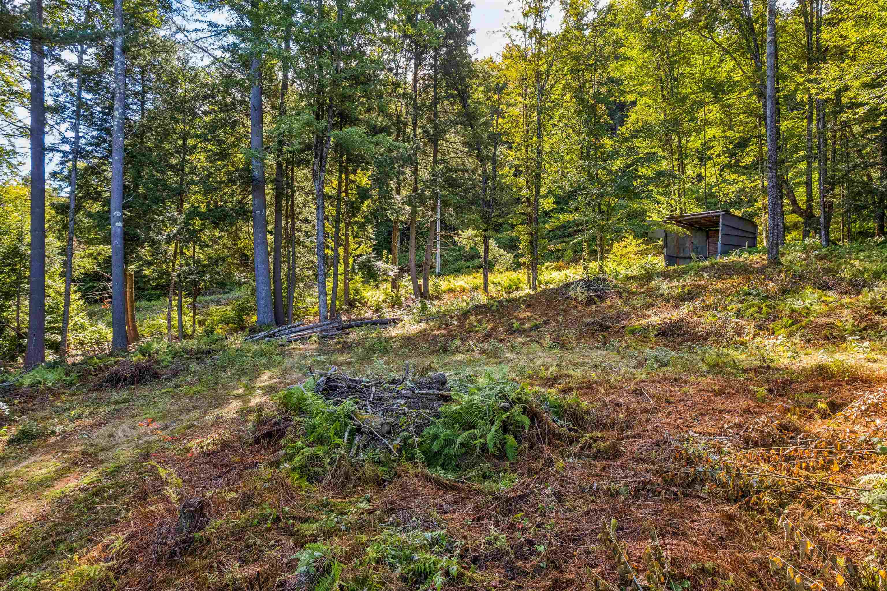664 Ranney Road Property Photo 11