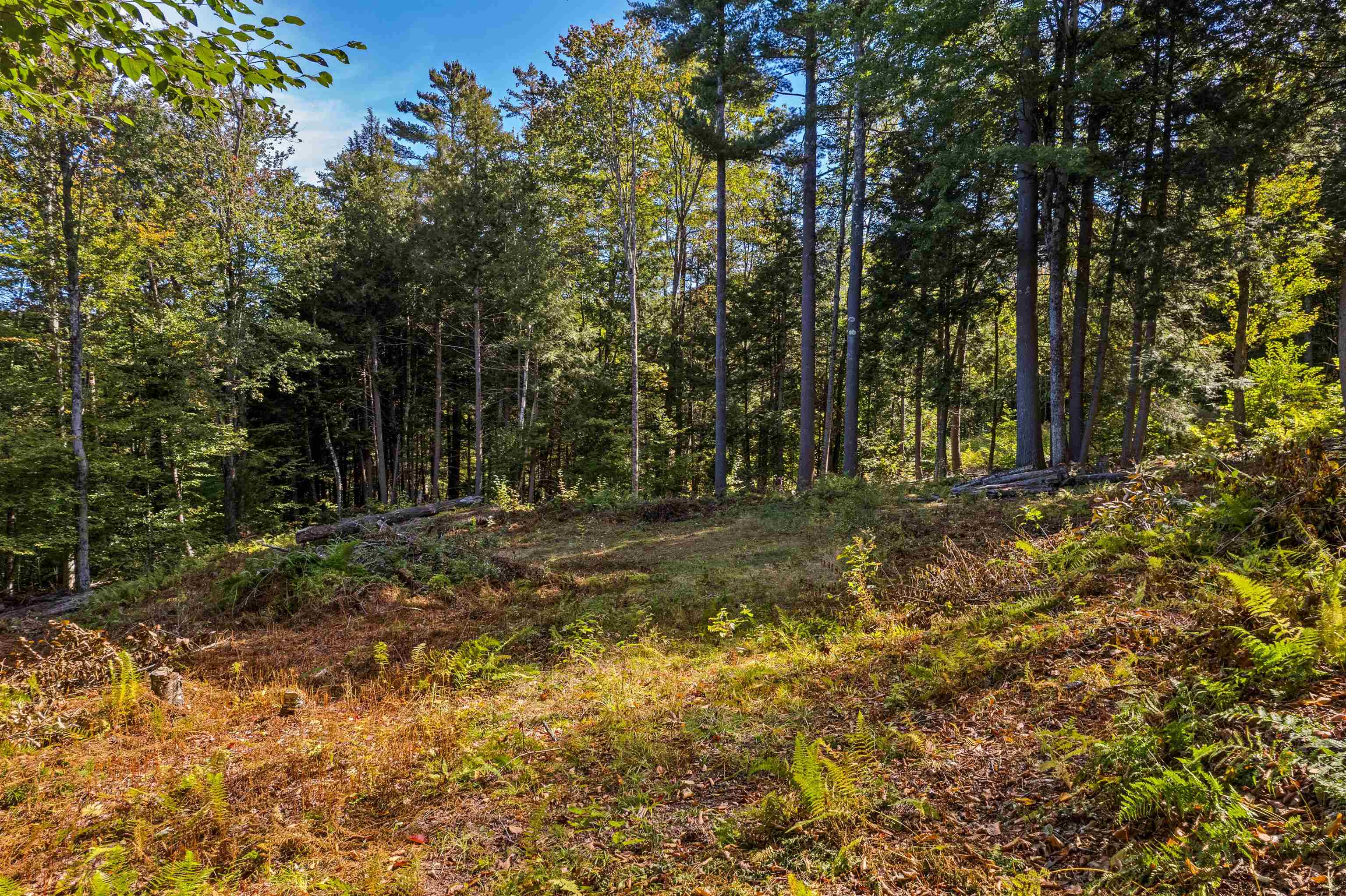 664 Ranney Road Property Photo 12