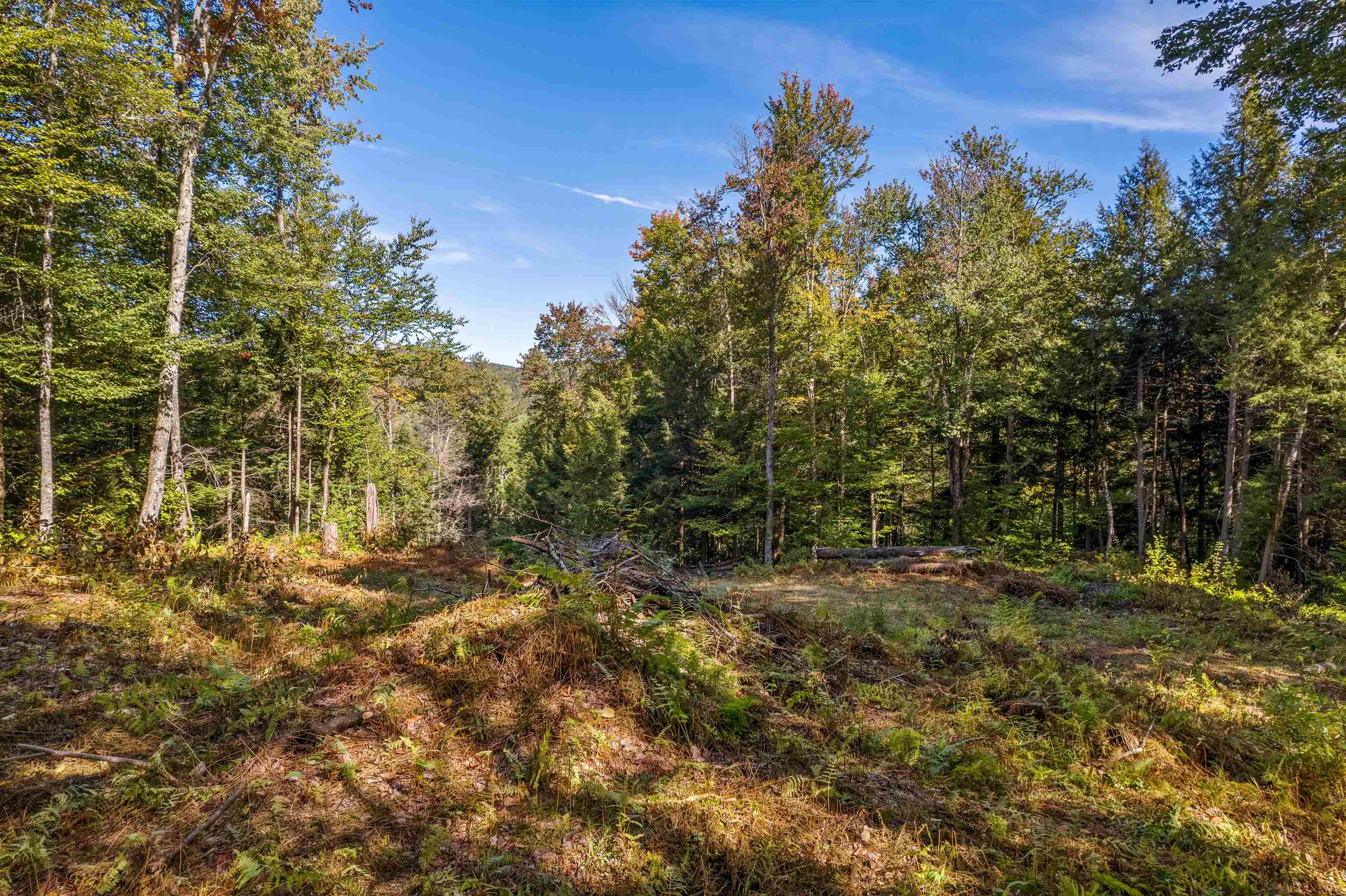 664 Ranney Road Property Photo 14