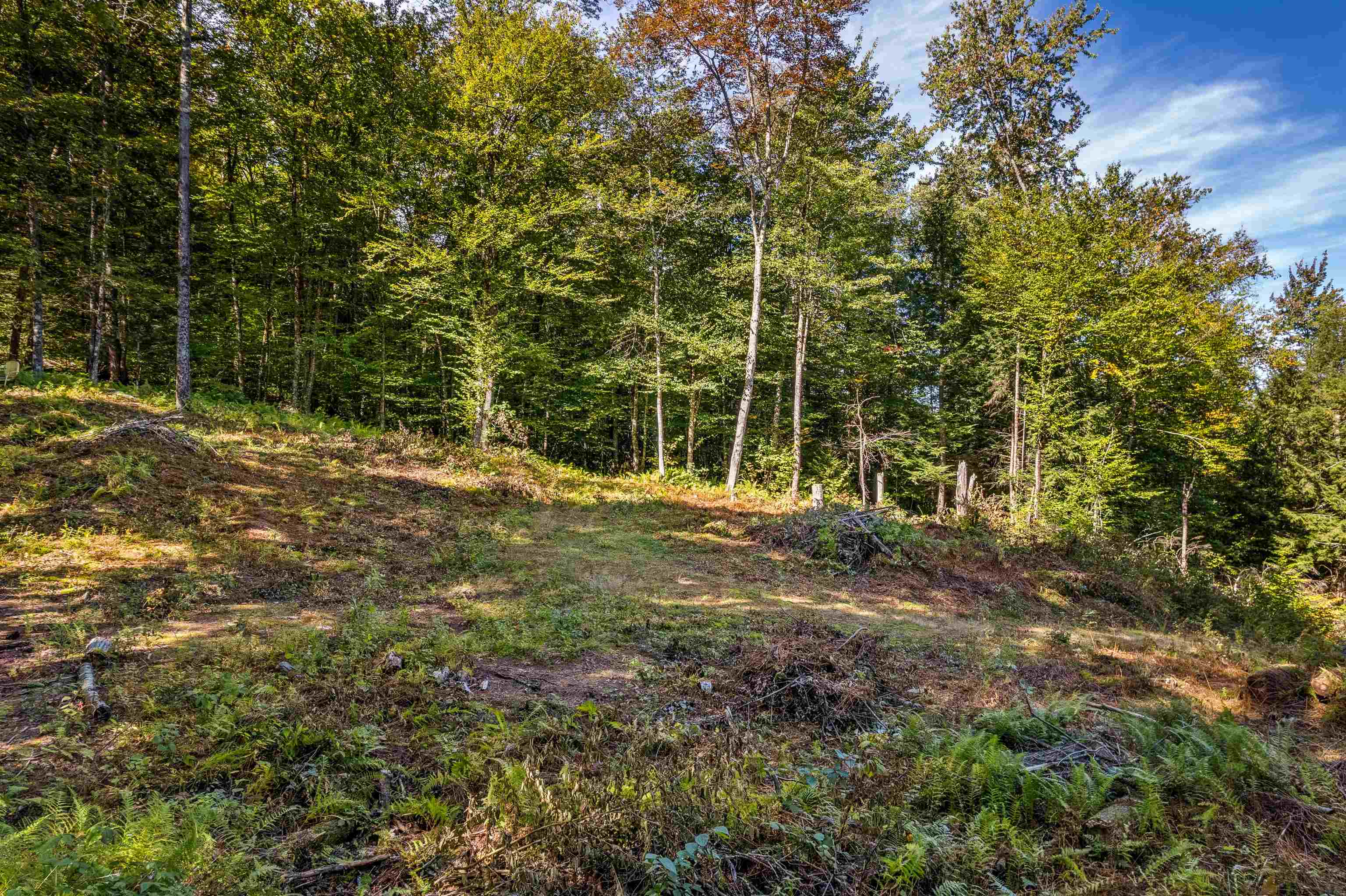 664 Ranney Road Property Photo 15
