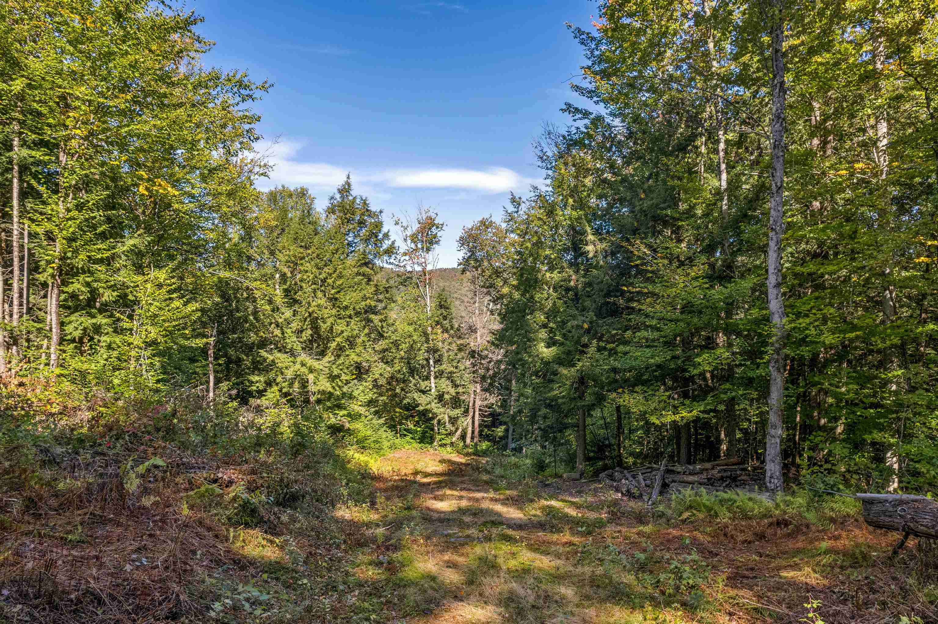 664 Ranney Road Property Photo 16