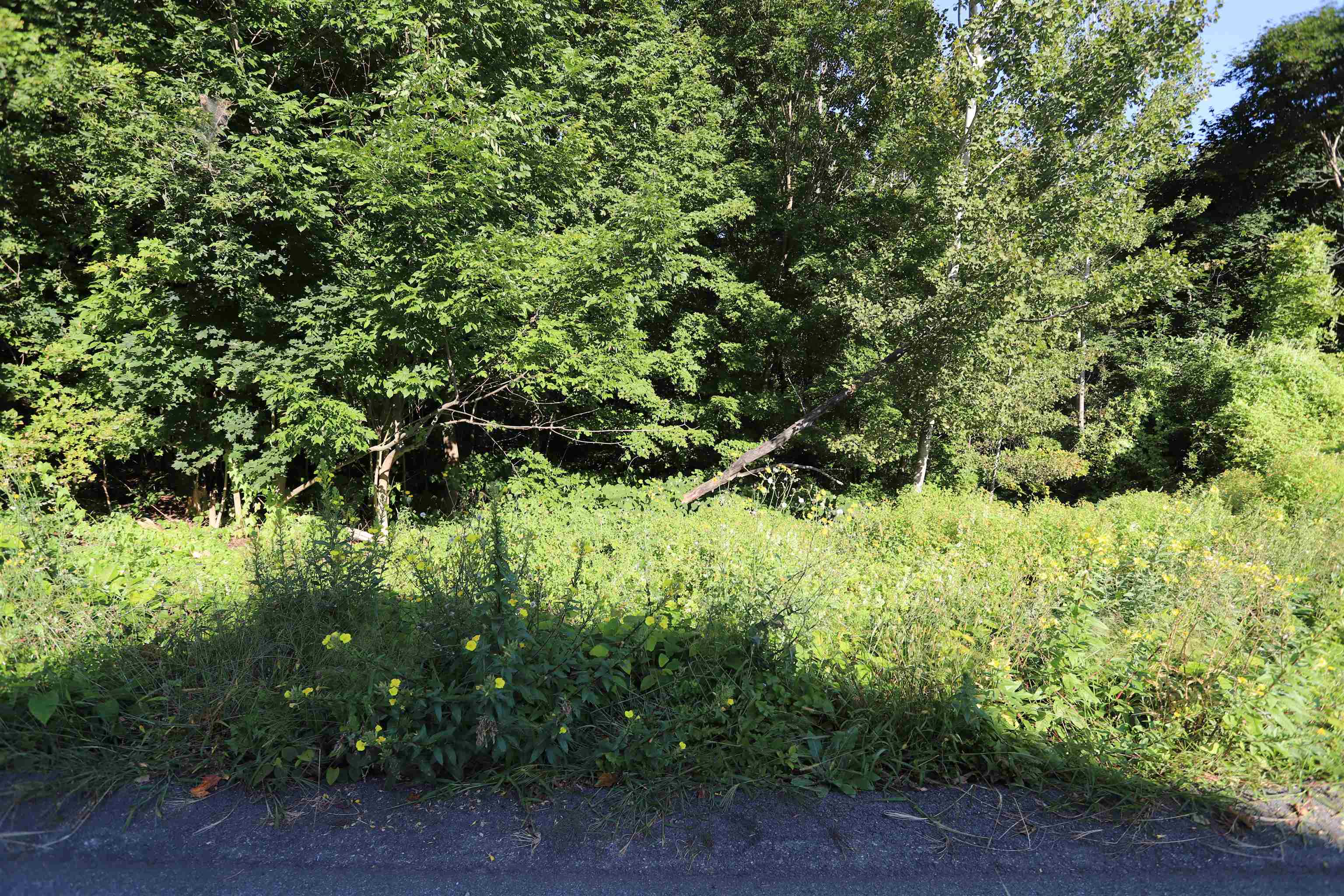 0 West End Avenue Property Photo 6